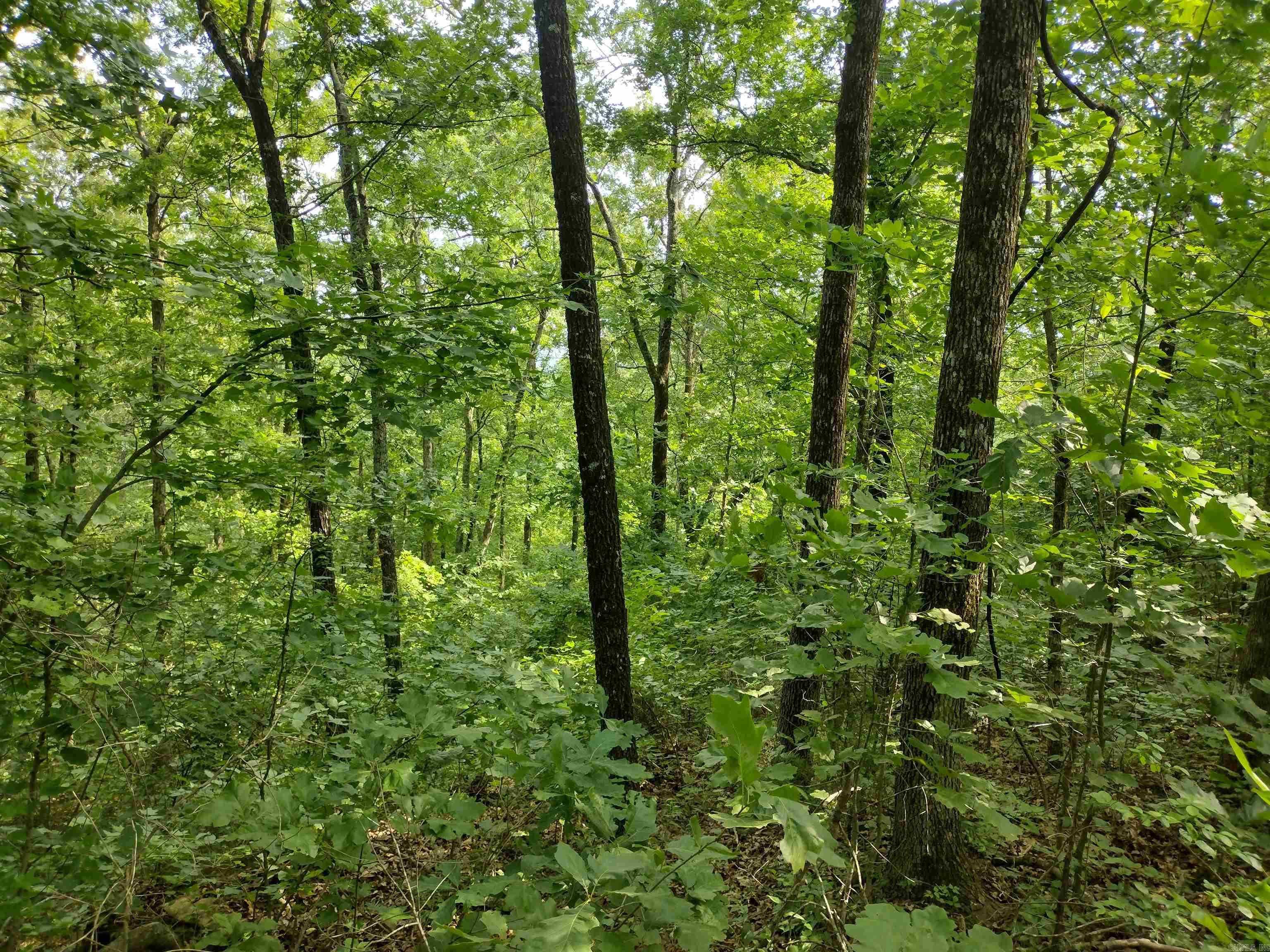 0 Greers Ferry Road Property Photo 11