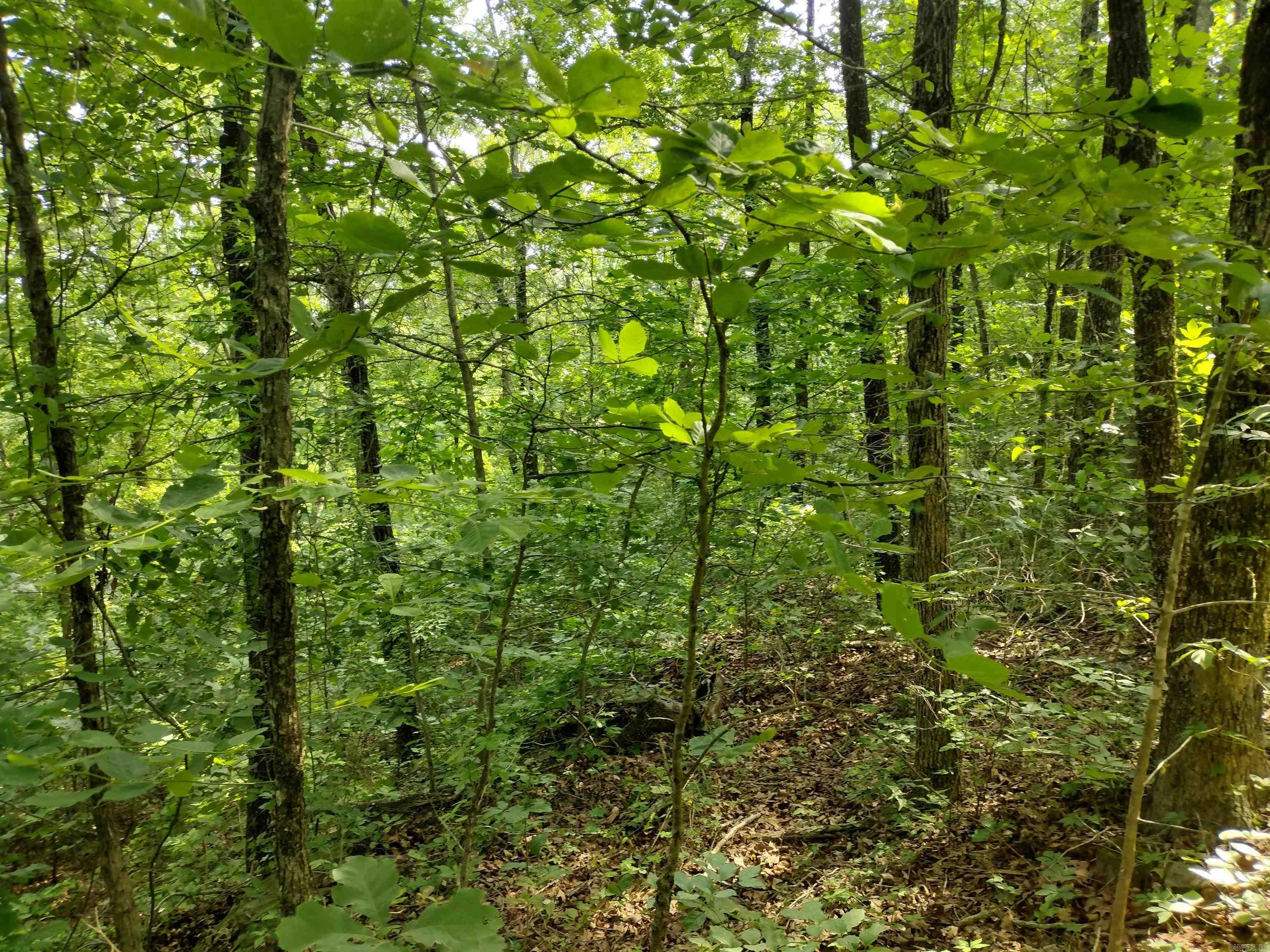 0 Greers Ferry Road Property Photo 12