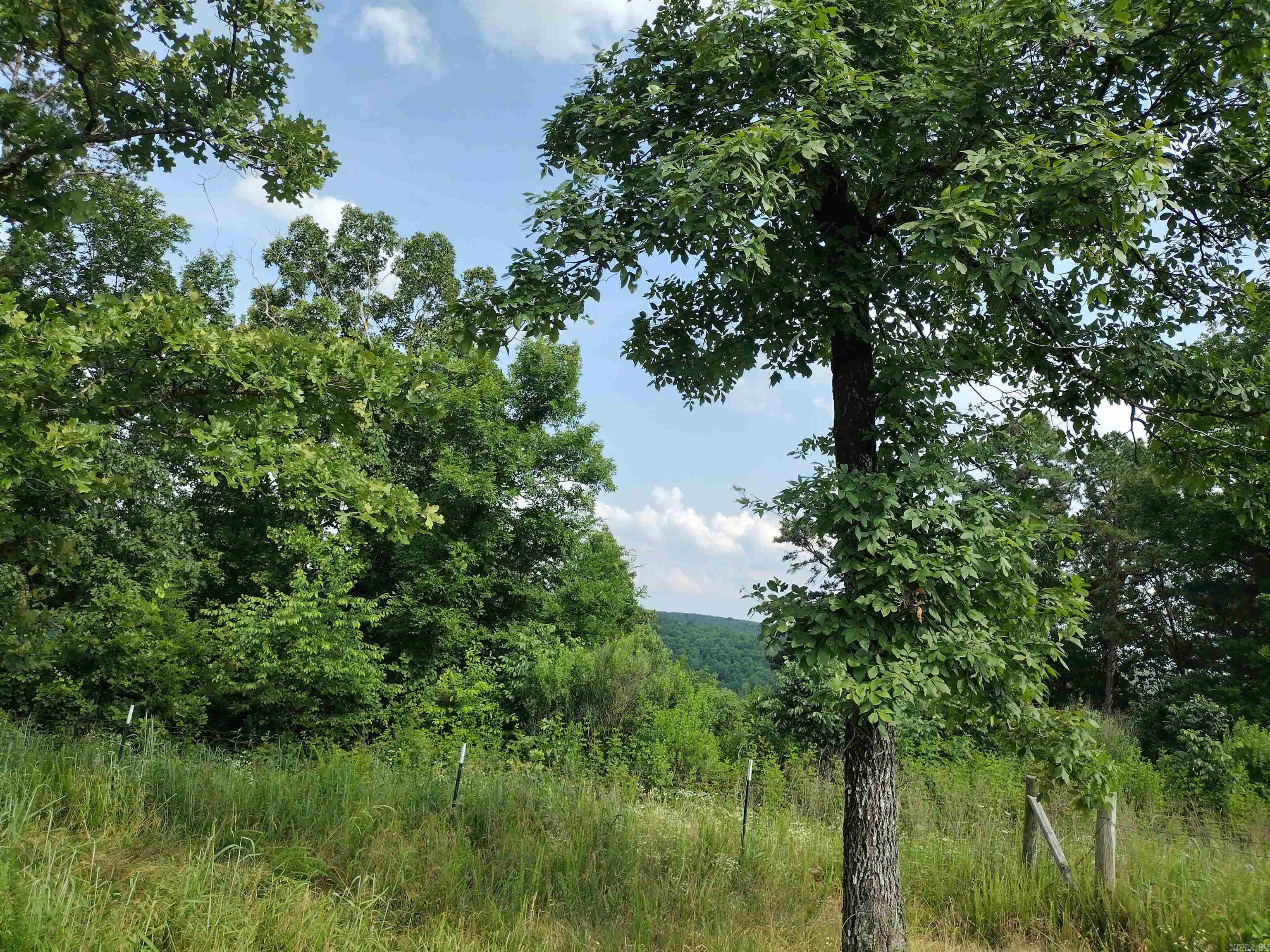 0 Greers Ferry Road Property Photo 13