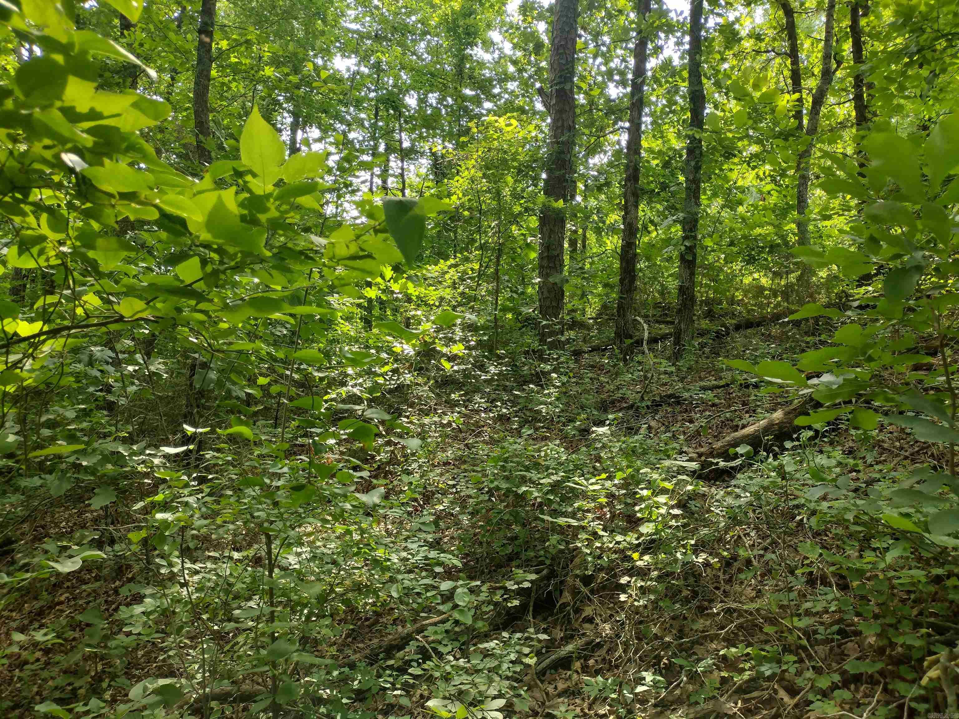 0 Greers Ferry Road Property Photo 14