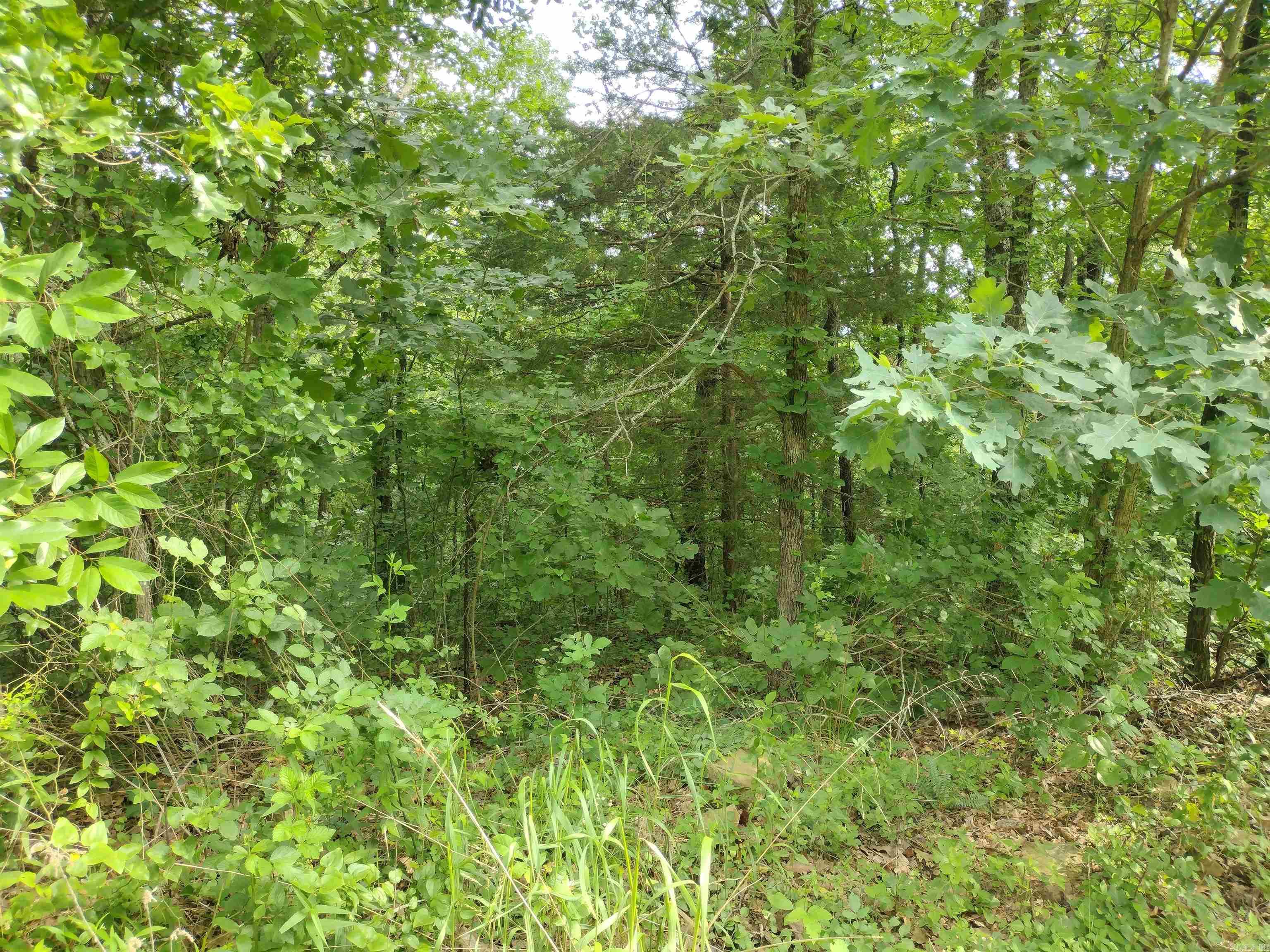 0 Greers Ferry Road Property Photo 15