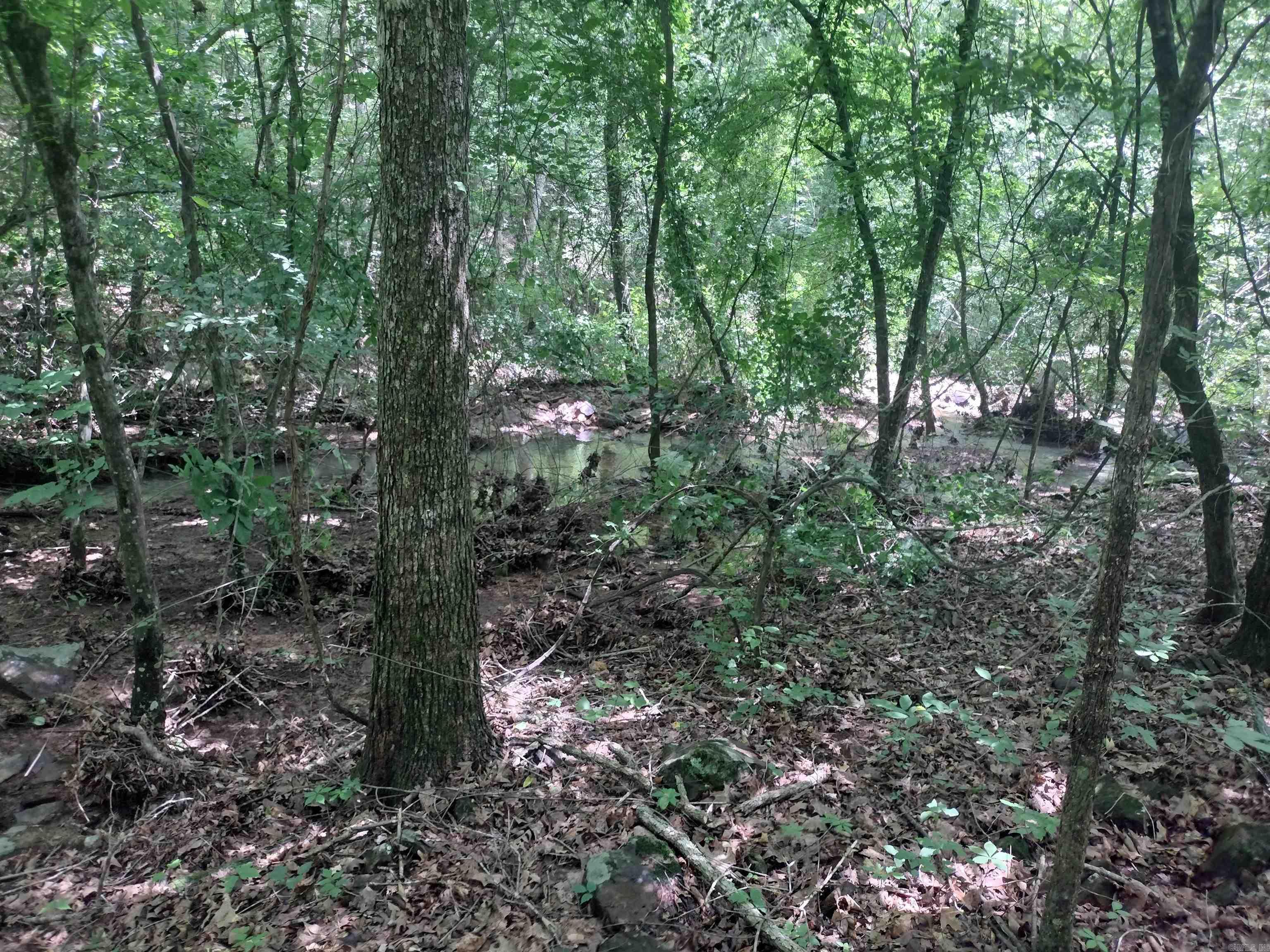 0 Greers Ferry Road Property Photo 16