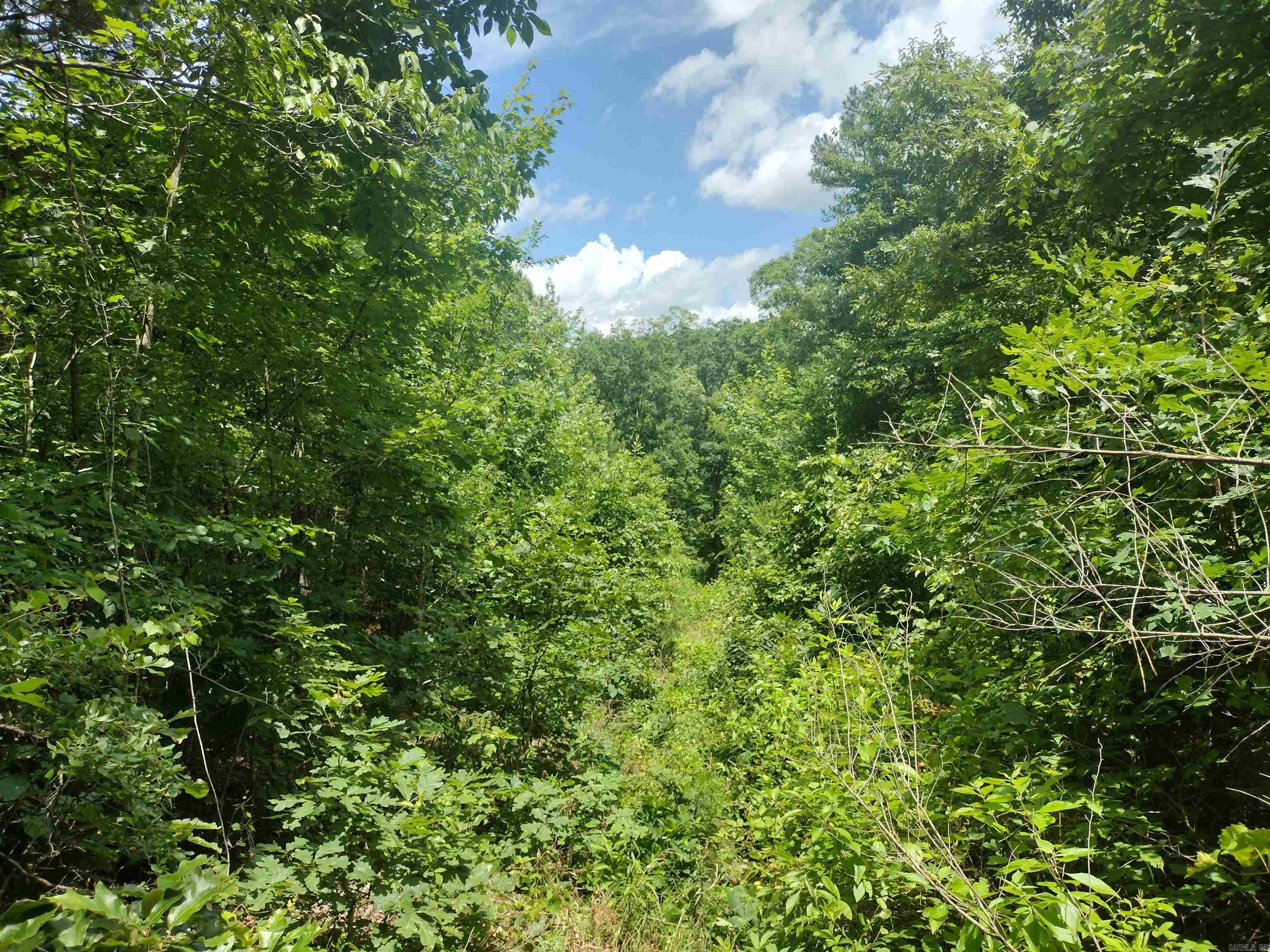 0 Greers Ferry Road Property Photo 18