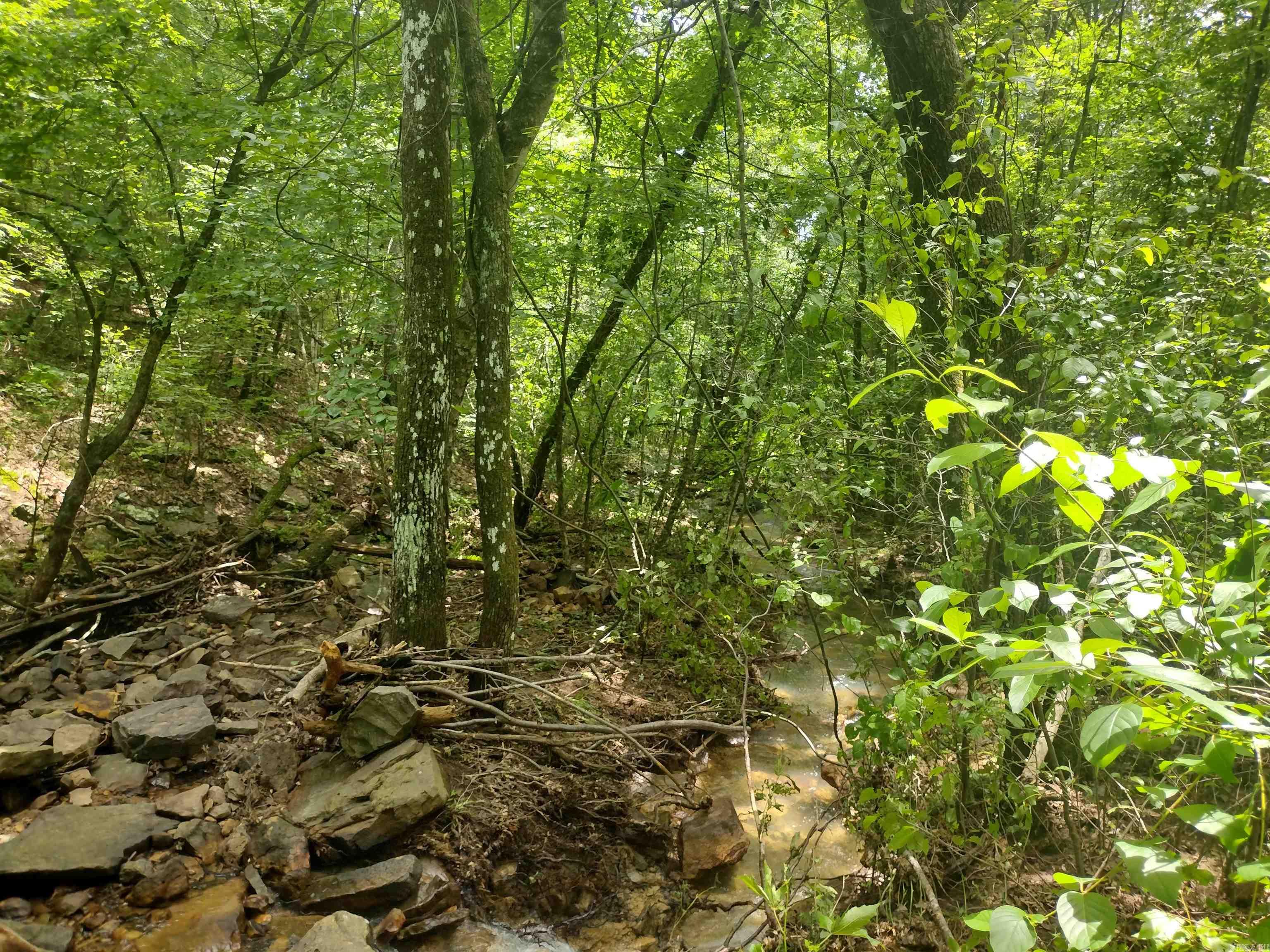 0 Greers Ferry Road Property Photo 20