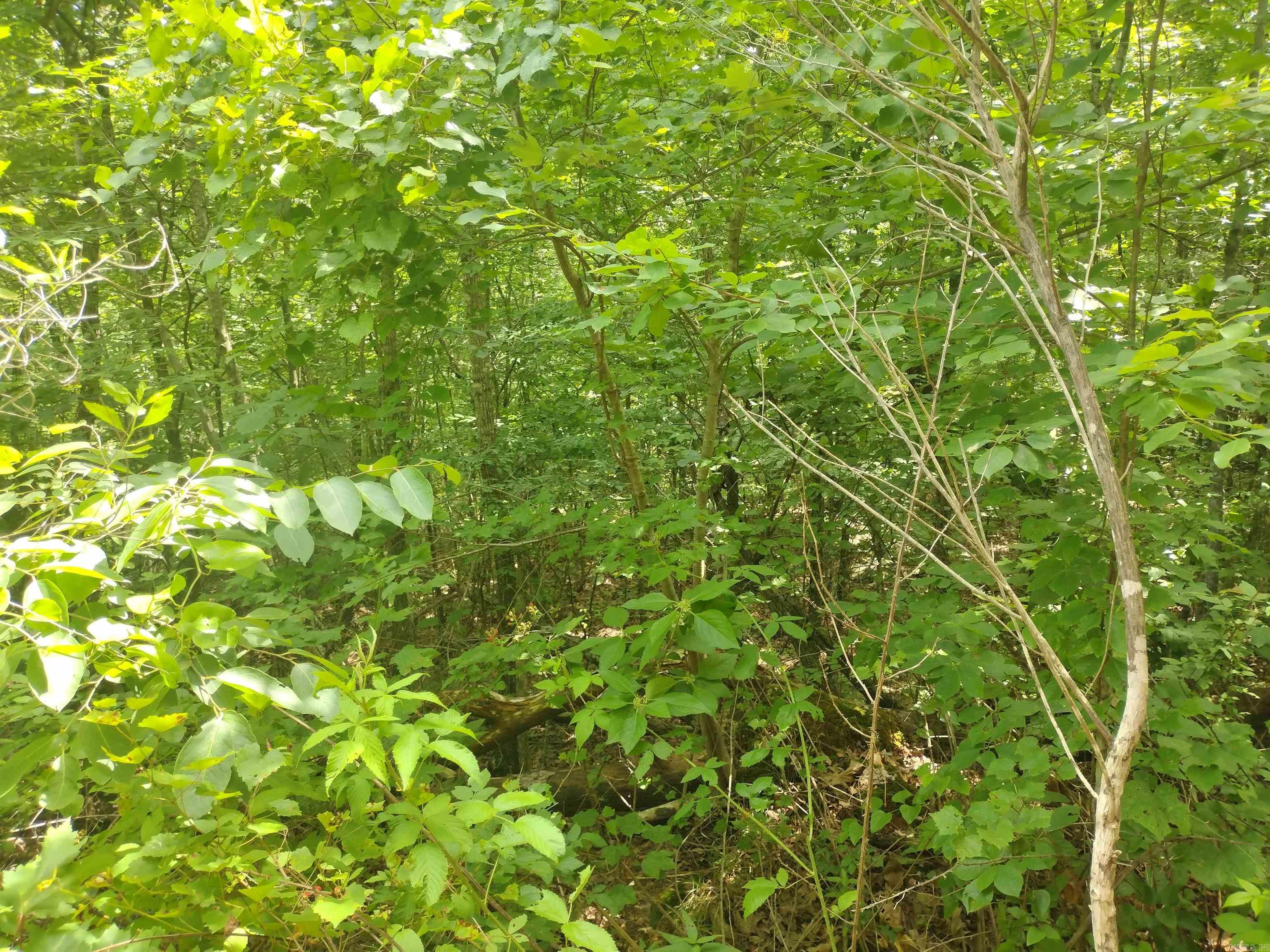 0 Greers Ferry Road Property Photo 21