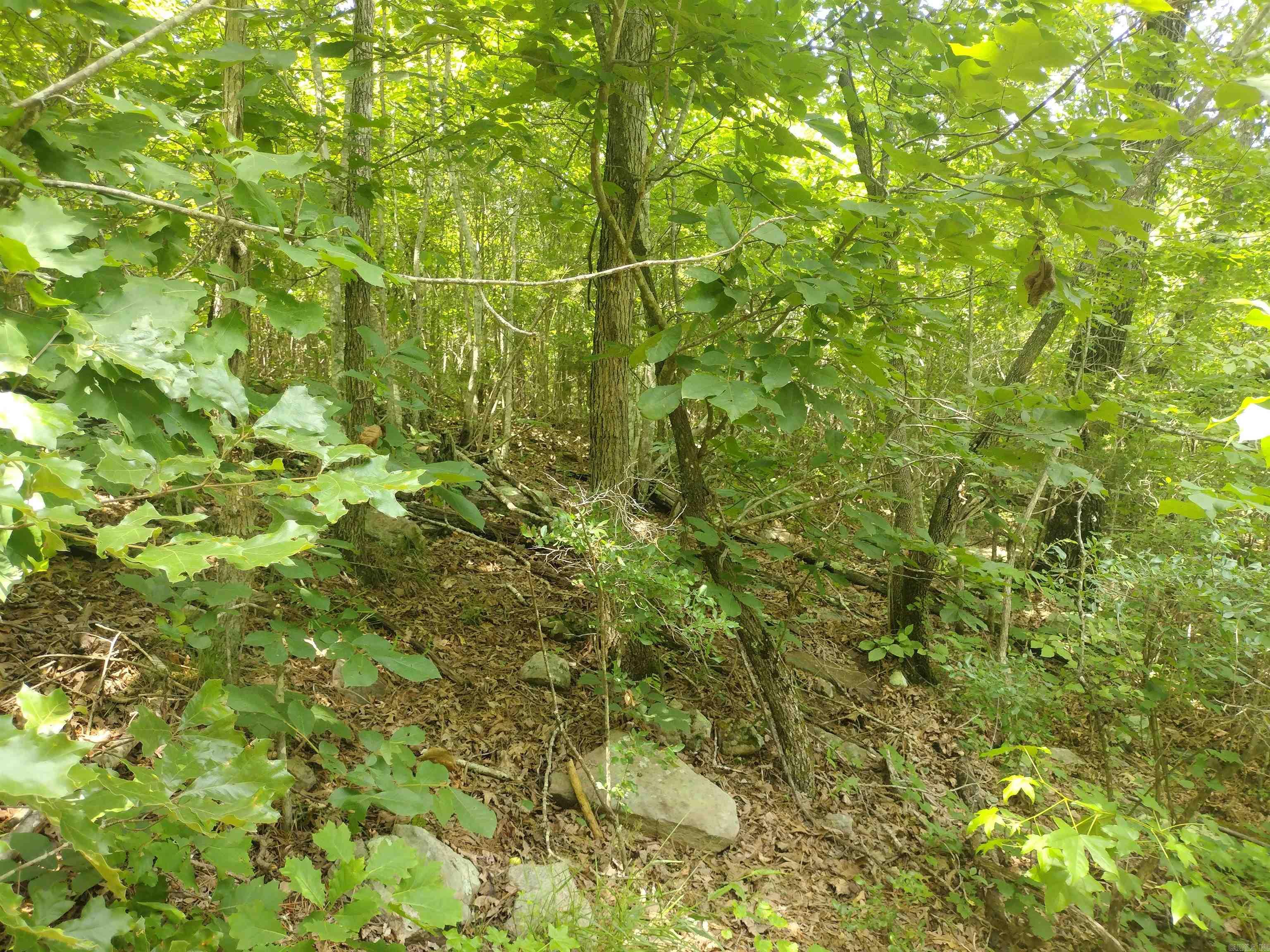 0 Greers Ferry Road Property Photo 22