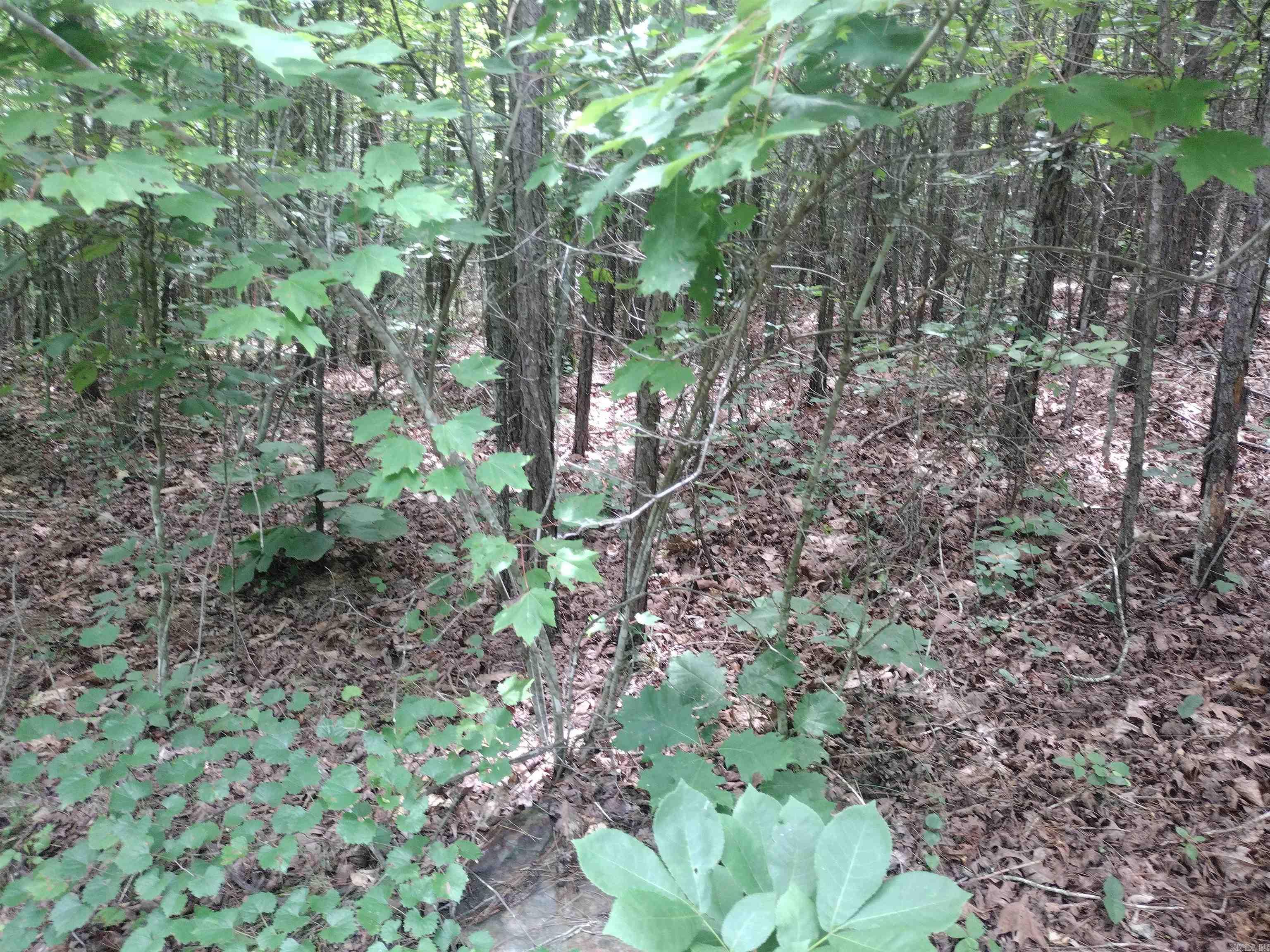 0 Greers Ferry Road Property Photo 23