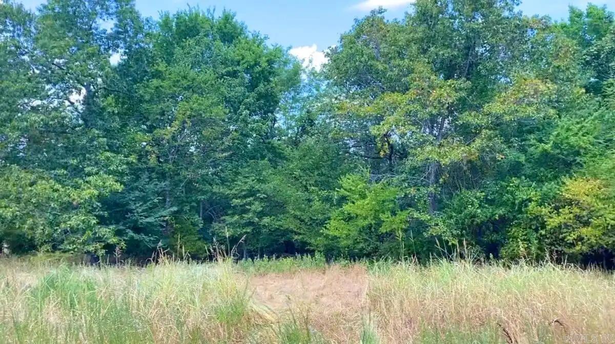 000 Cedar Creek Property Photo 18
