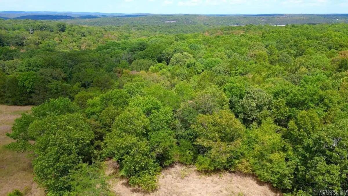 000 Cedar Creek Property Photo 24
