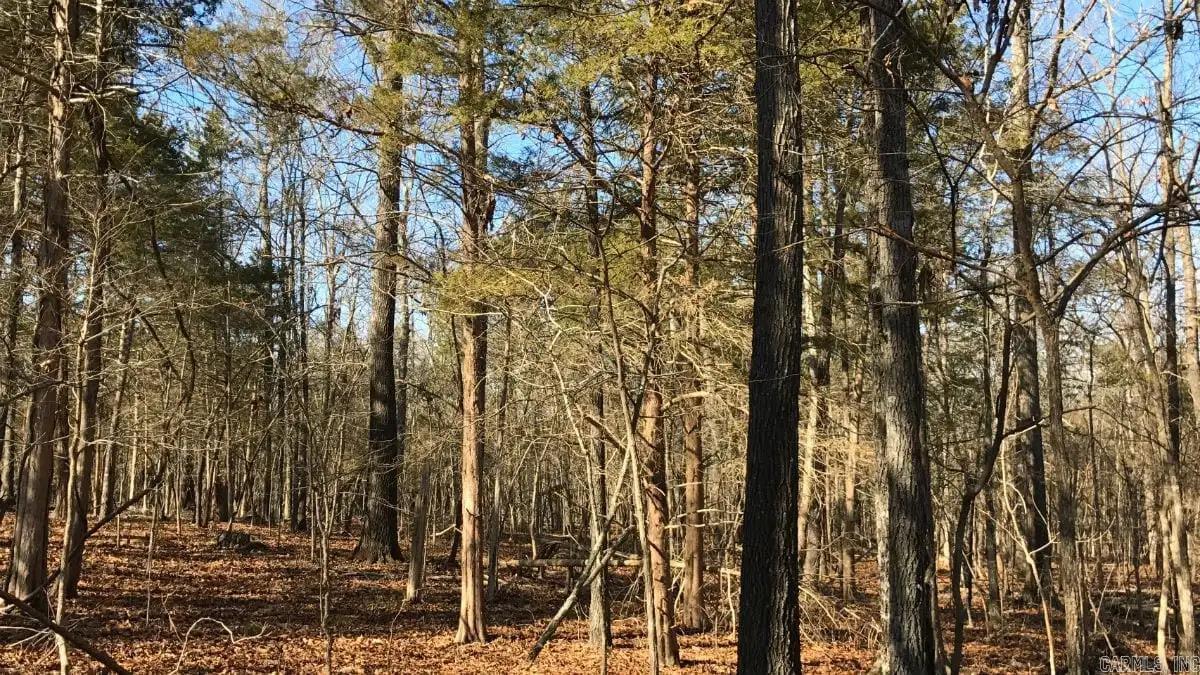 000 Cedar Creek Property Photo 27
