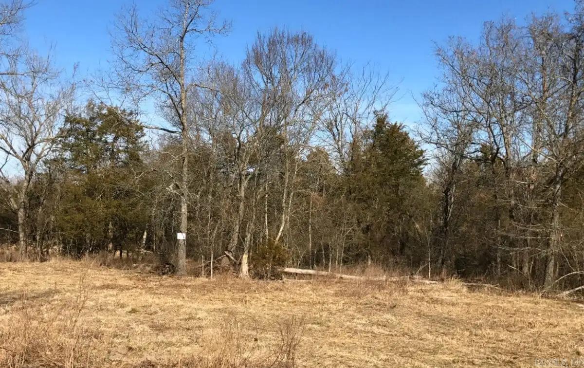 000 Cedar Creek Property Photo 28