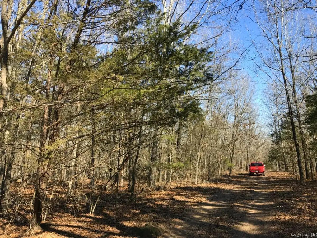 000 Cedar Creek Property Photo 29