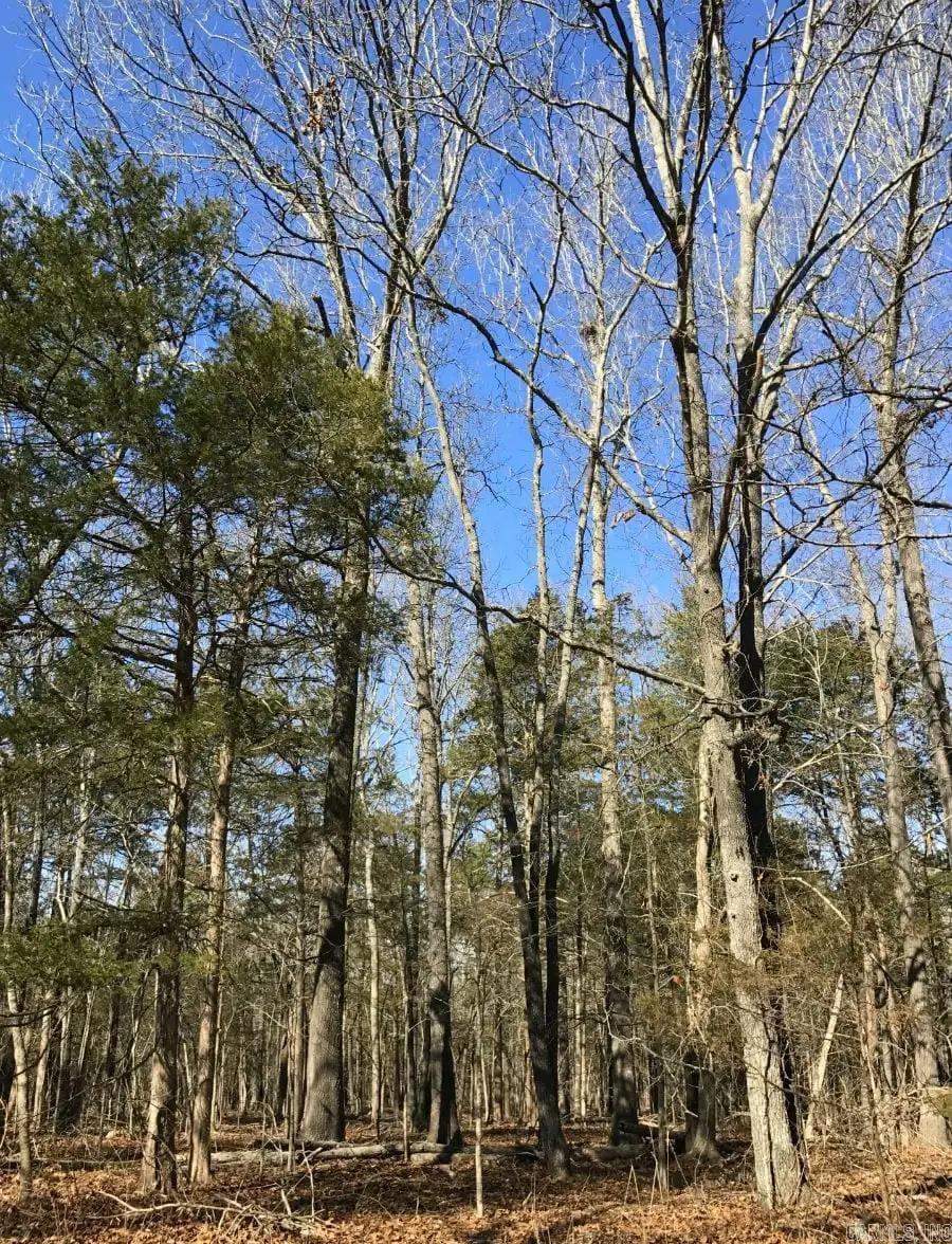 000 Cedar Creek Property Photo 41