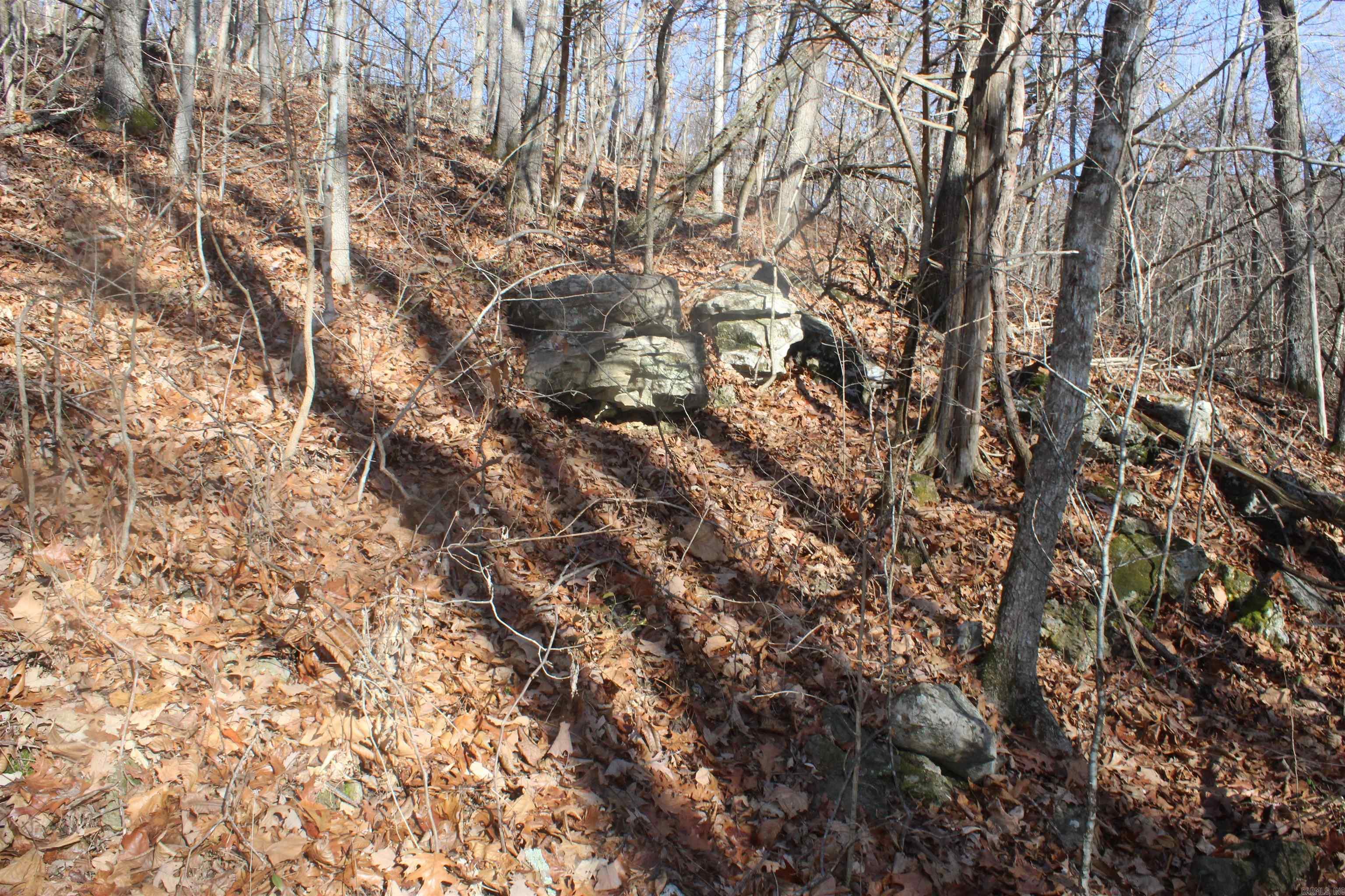 113 Blake Street Property Photo 6