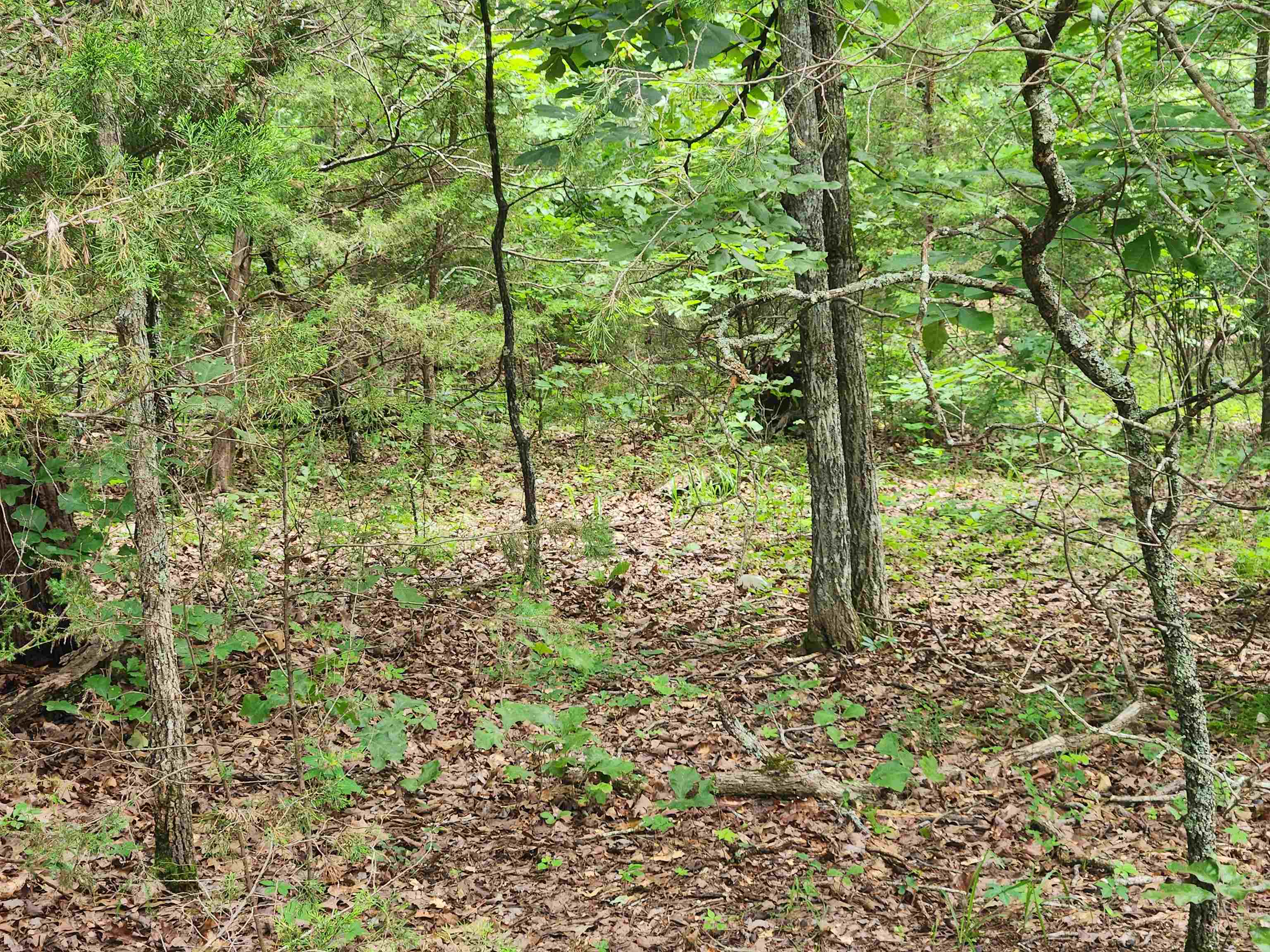 L21b1 Coyotero Trace Property Photo 1