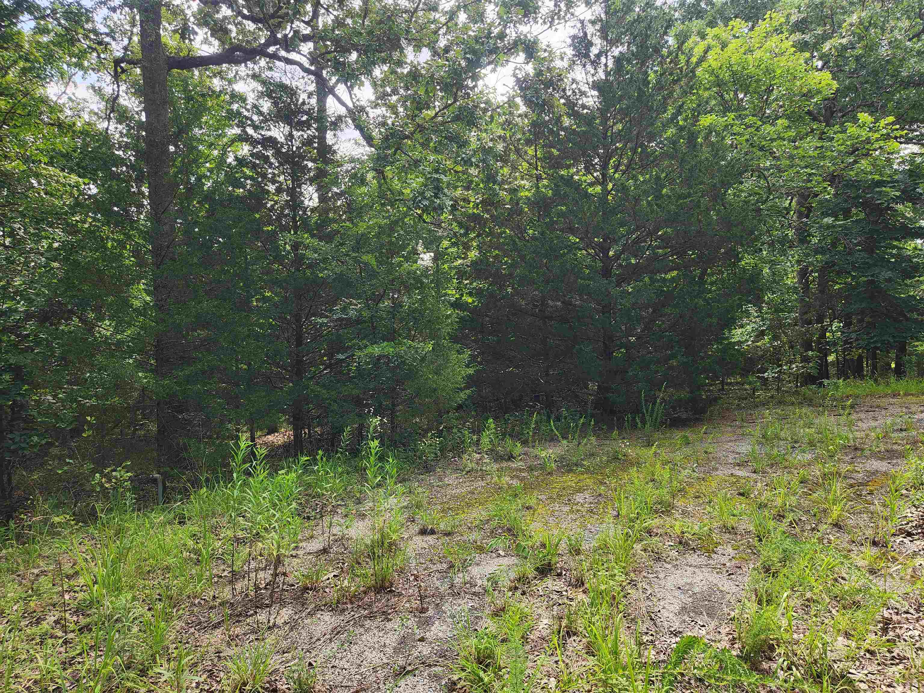 L21b1 Coyotero Trace Property Photo 2