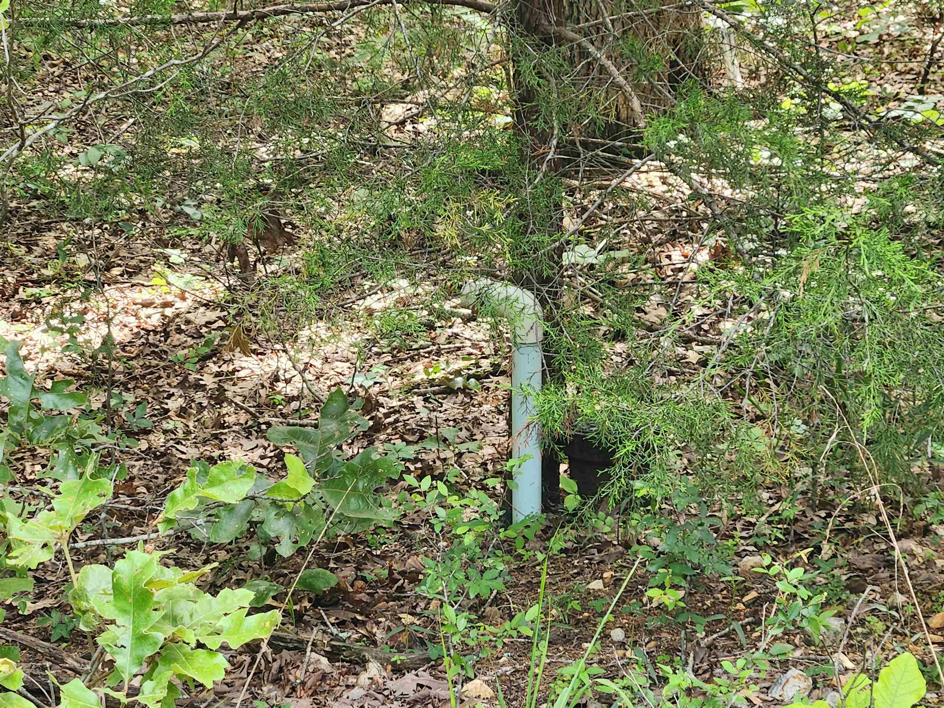 L21b1 Coyotero Trace Property Photo 3