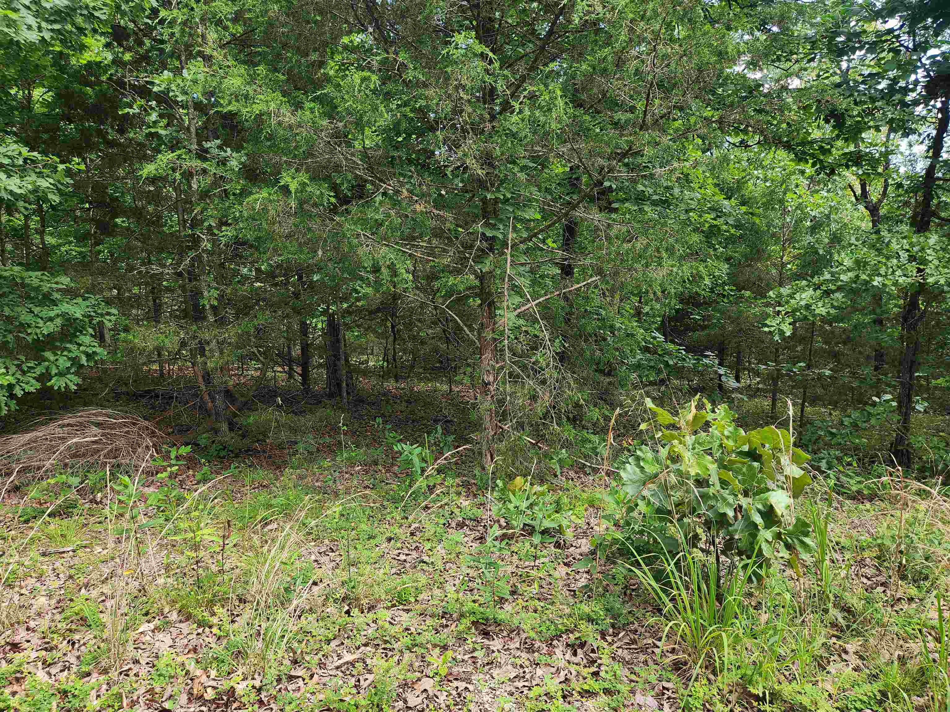 L21b1 Coyotero Trace Property Photo 4