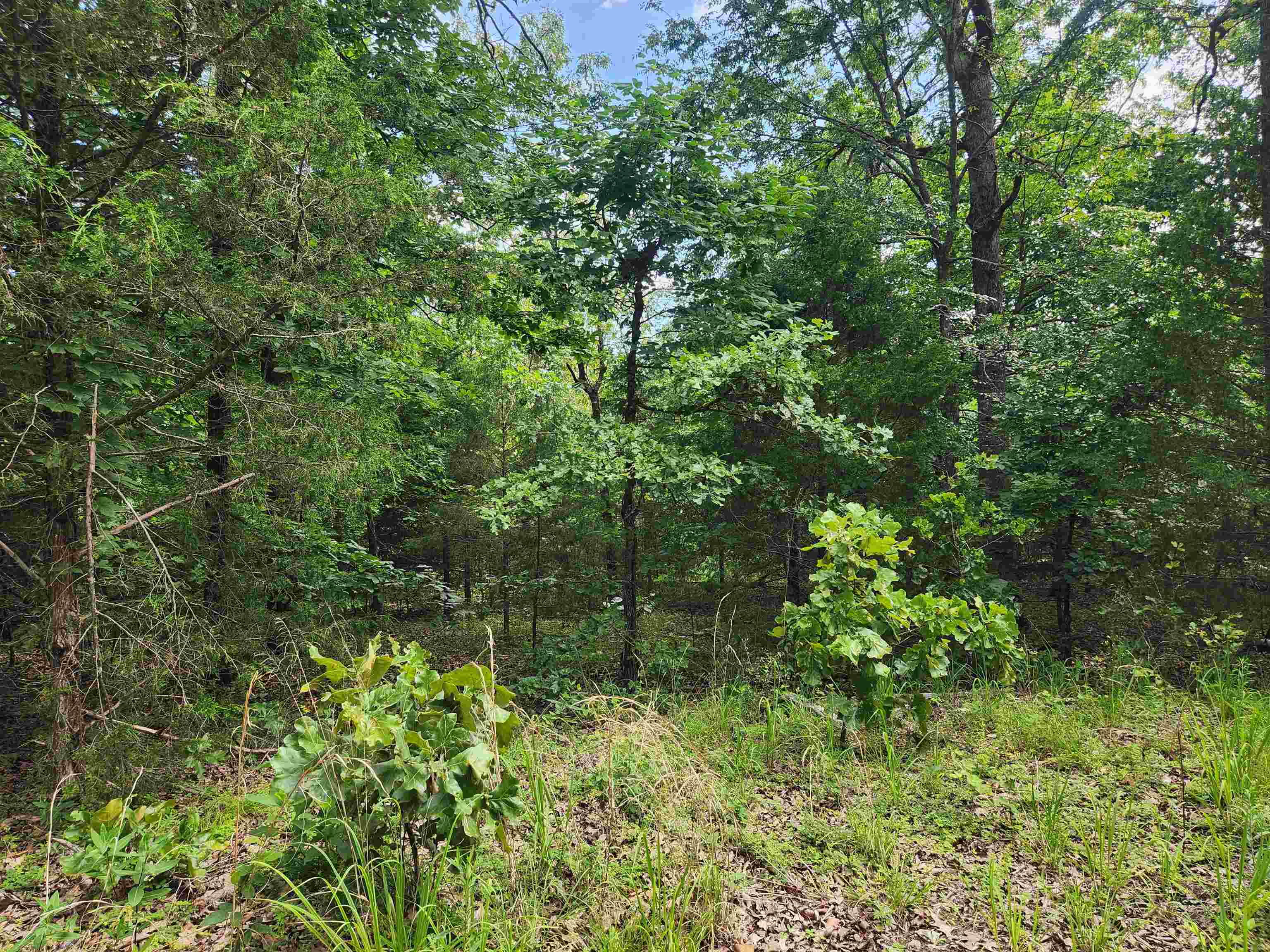 L21b1 Coyotero Trace Property Photo 5