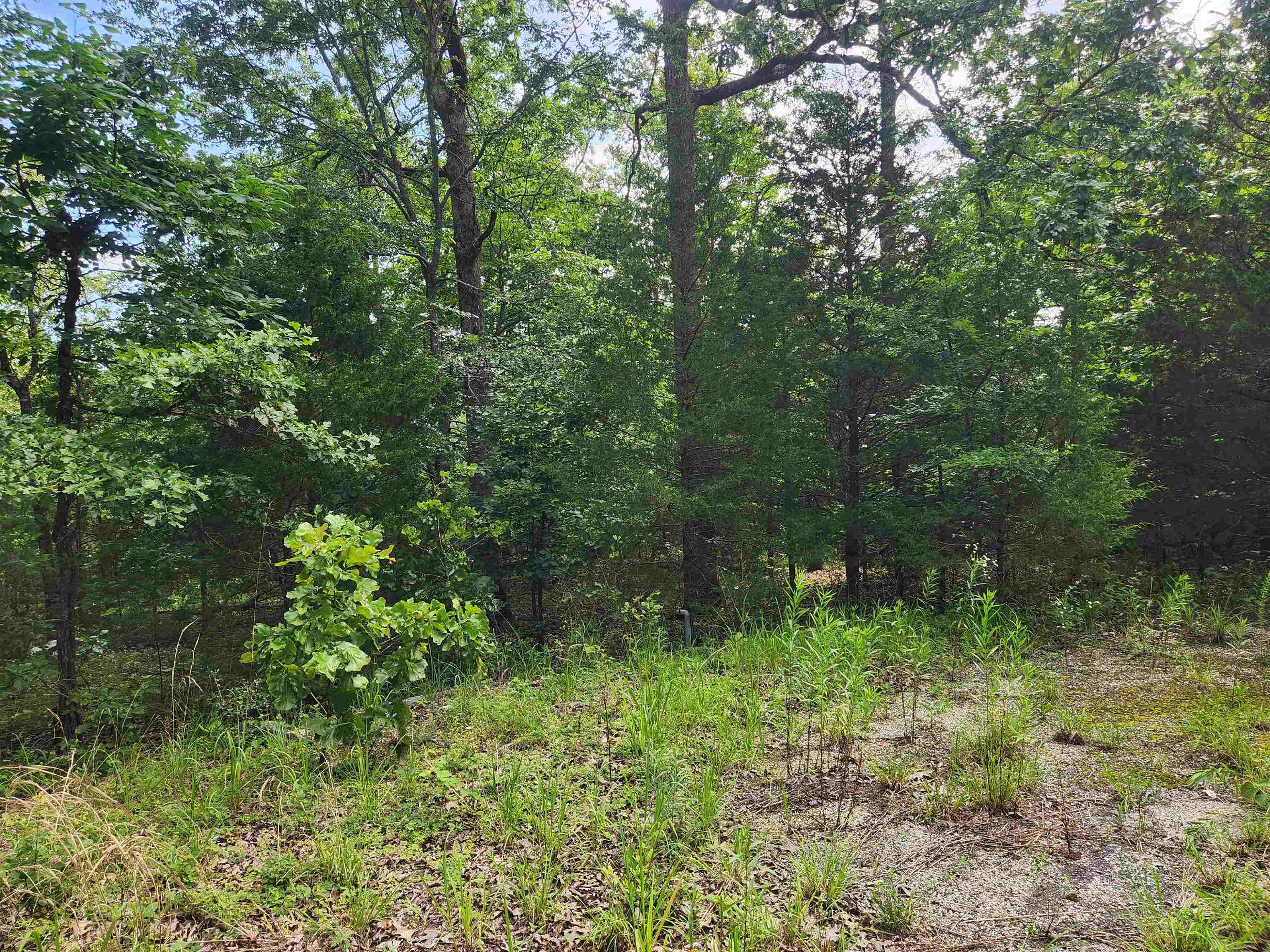 L21b1 Coyotero Trace Property Photo 6