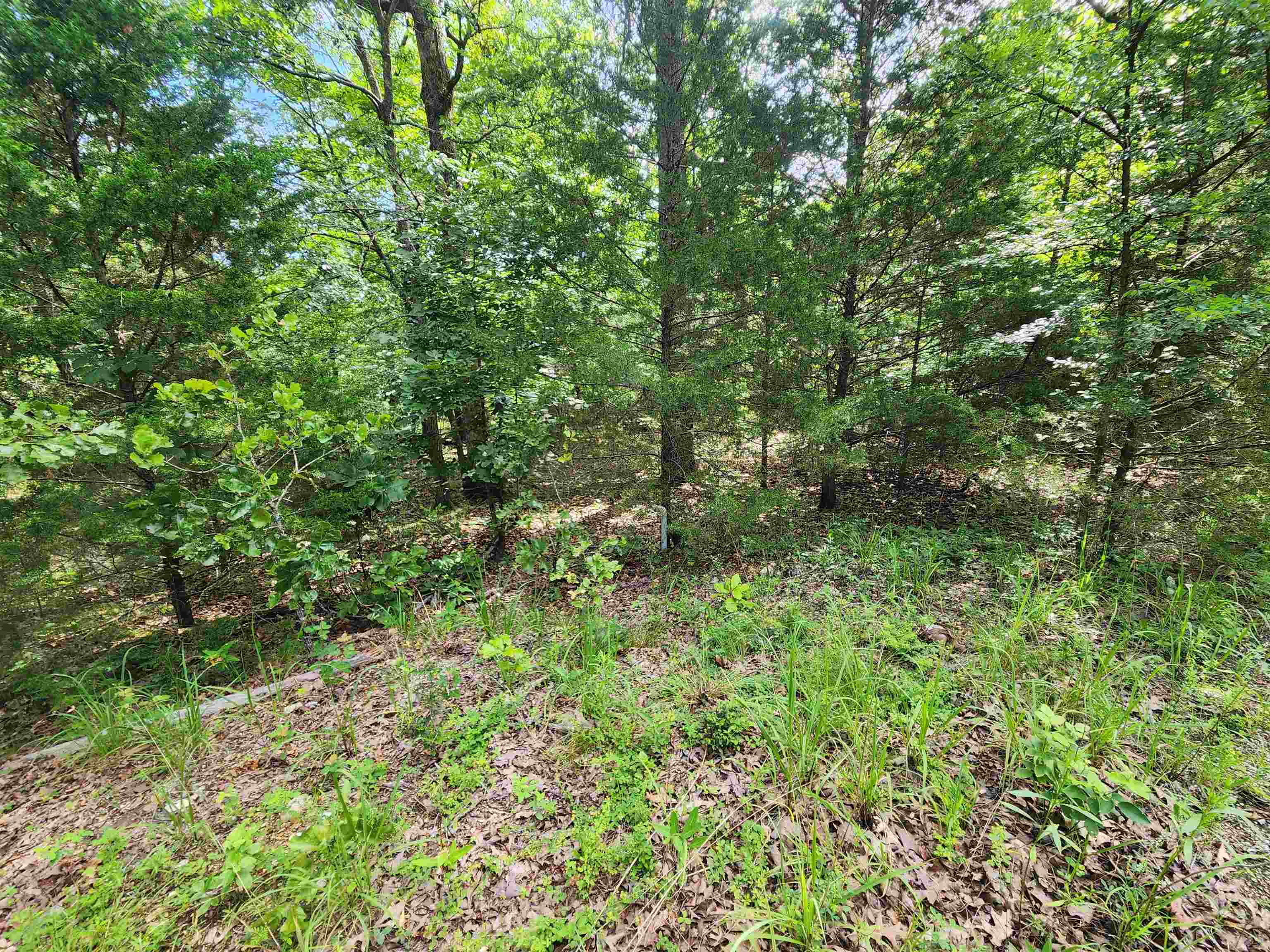 L21b1 Coyotero Trace Property Photo 7