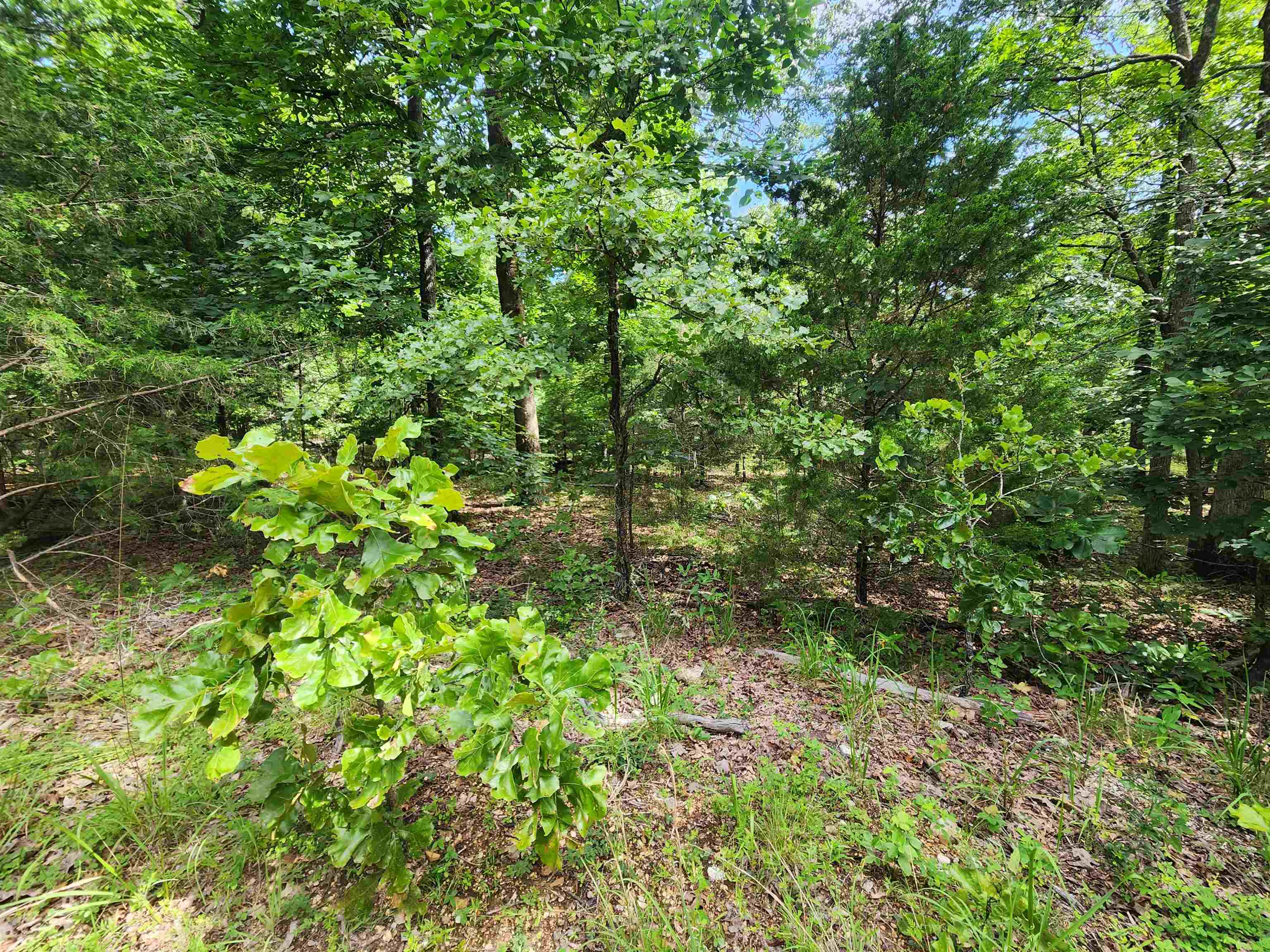 L21b1 Coyotero Trace Property Photo 8