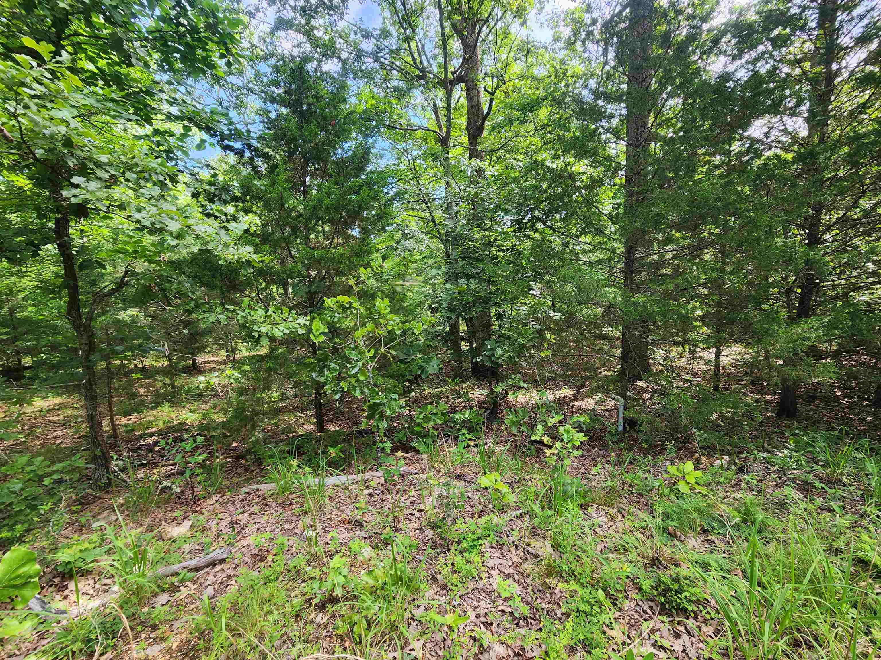 L21b1 Coyotero Trace Property Photo 9