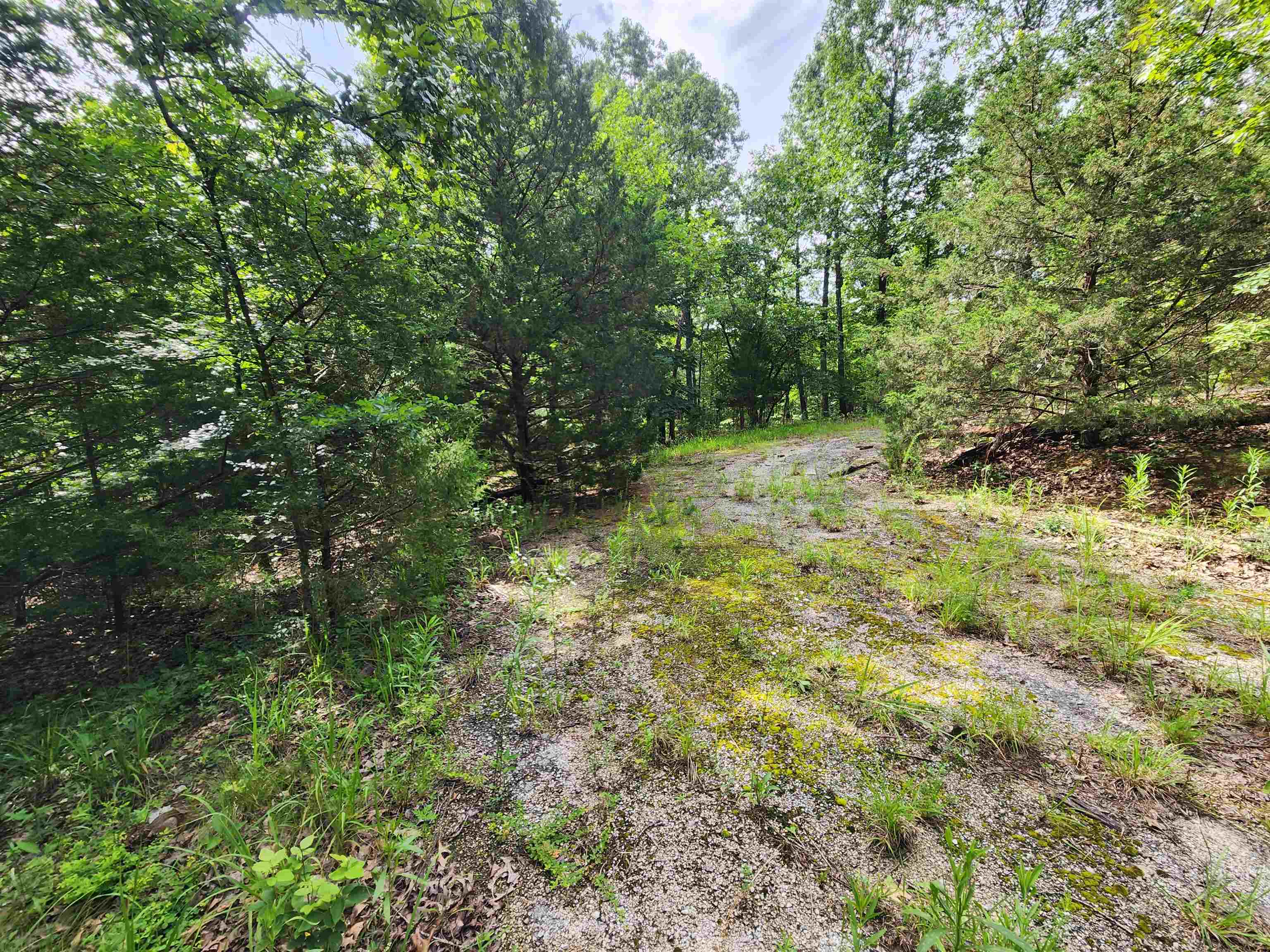 L21b1 Coyotero Trace Property Photo 10