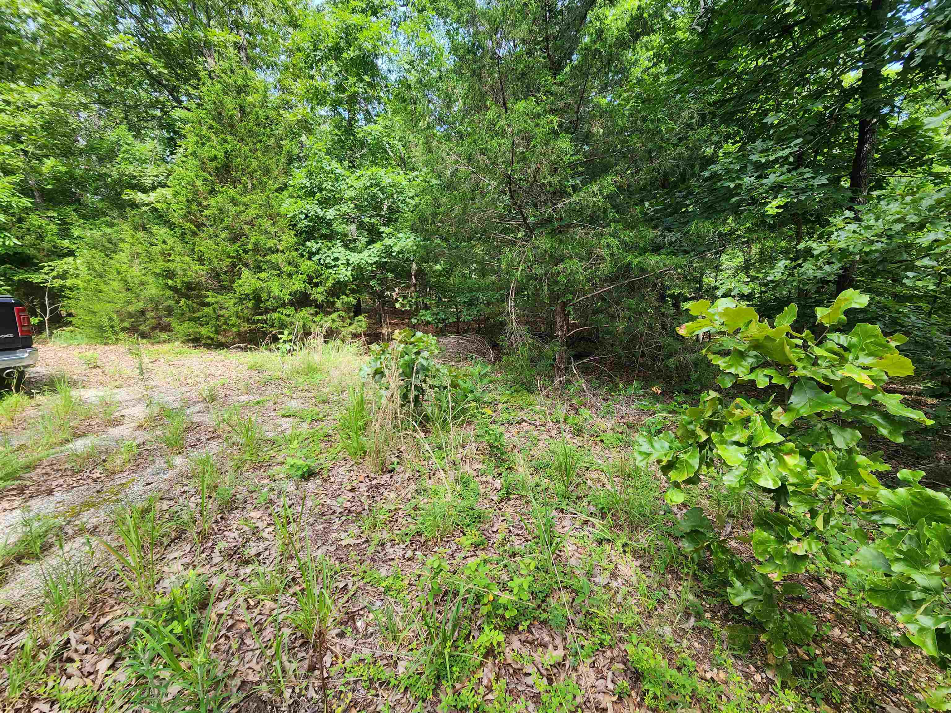 L21b1 Coyotero Trace Property Photo 11