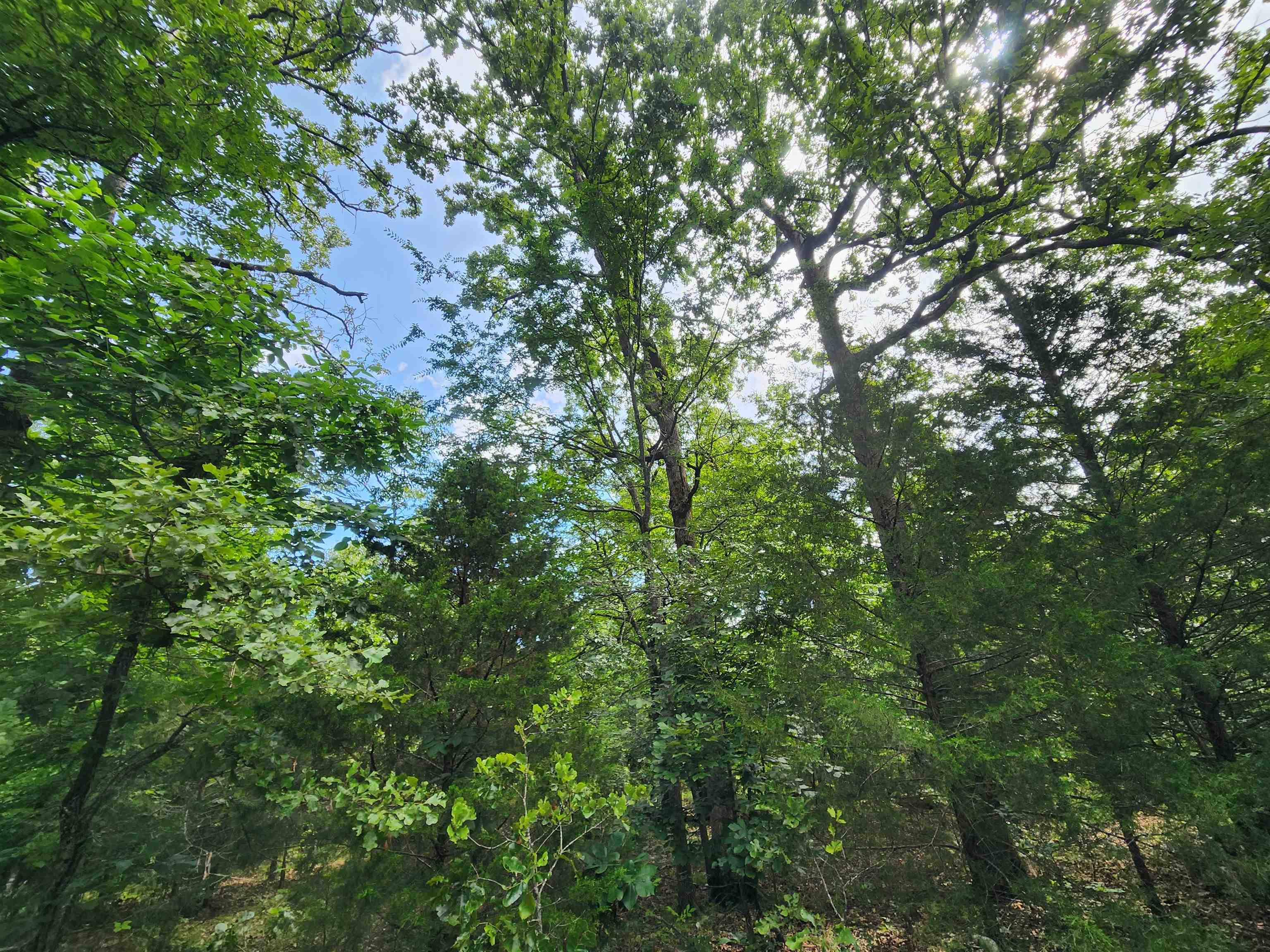 L21b1 Coyotero Trace Property Photo 15