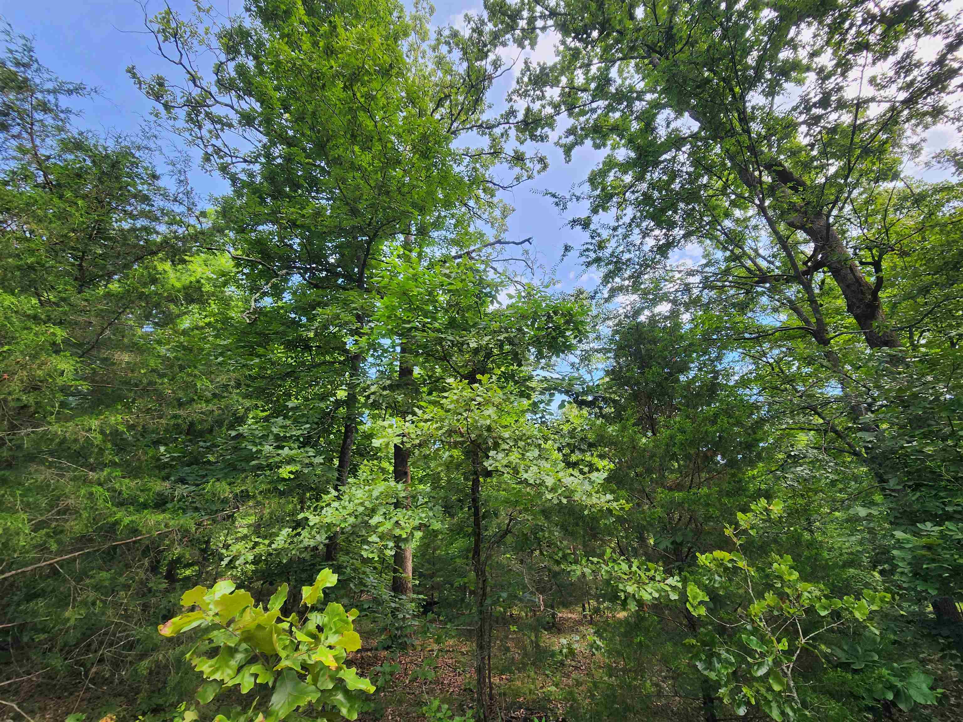 L21b1 Coyotero Trace Property Photo 16