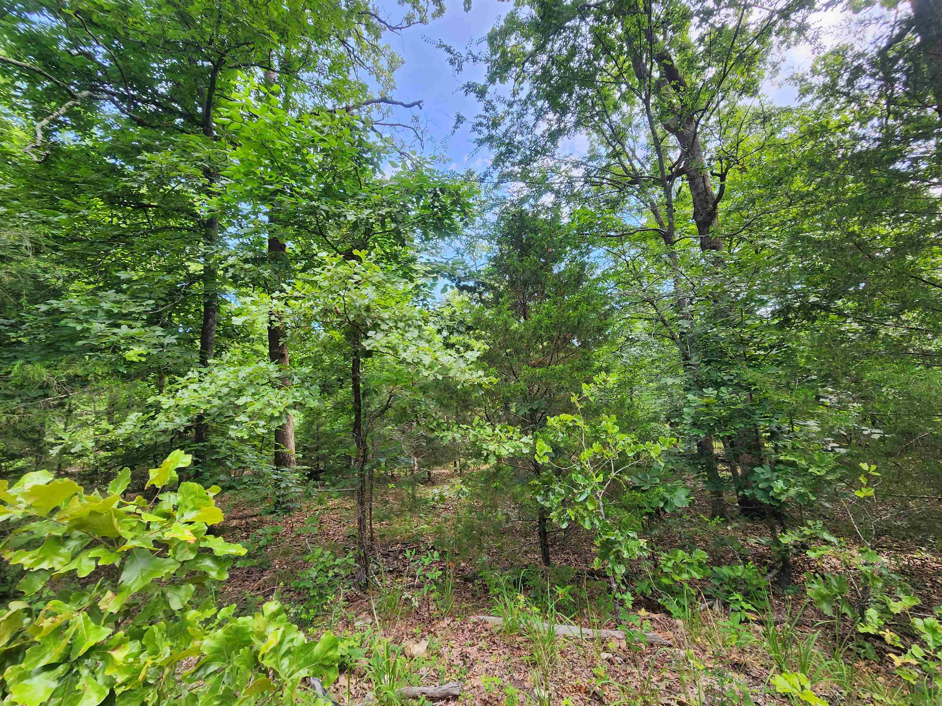 L21b1 Coyotero Trace Property Photo 17