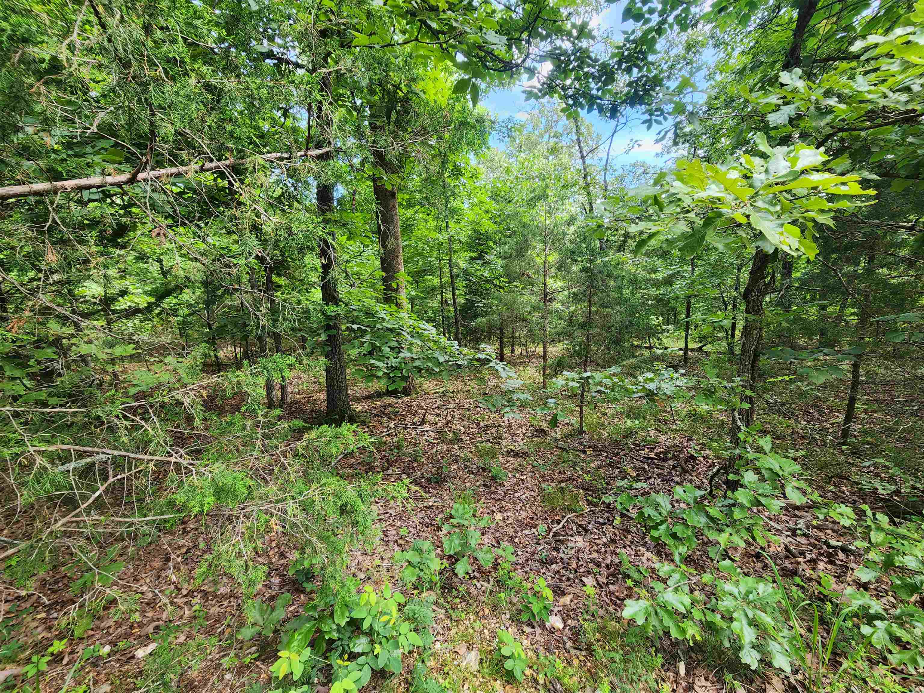 L21b1 Coyotero Trace Property Photo 18