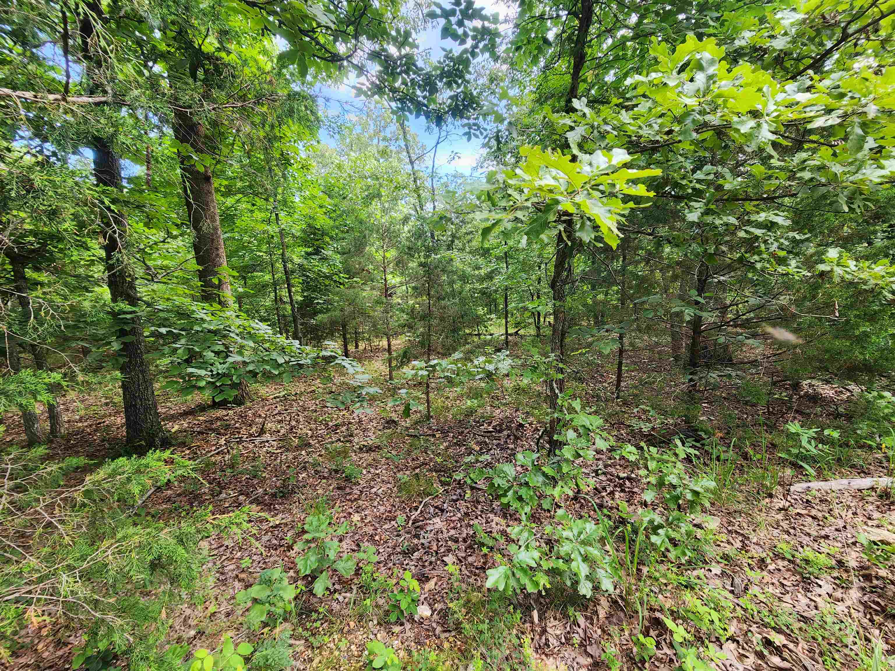 L21b1 Coyotero Trace Property Photo 19