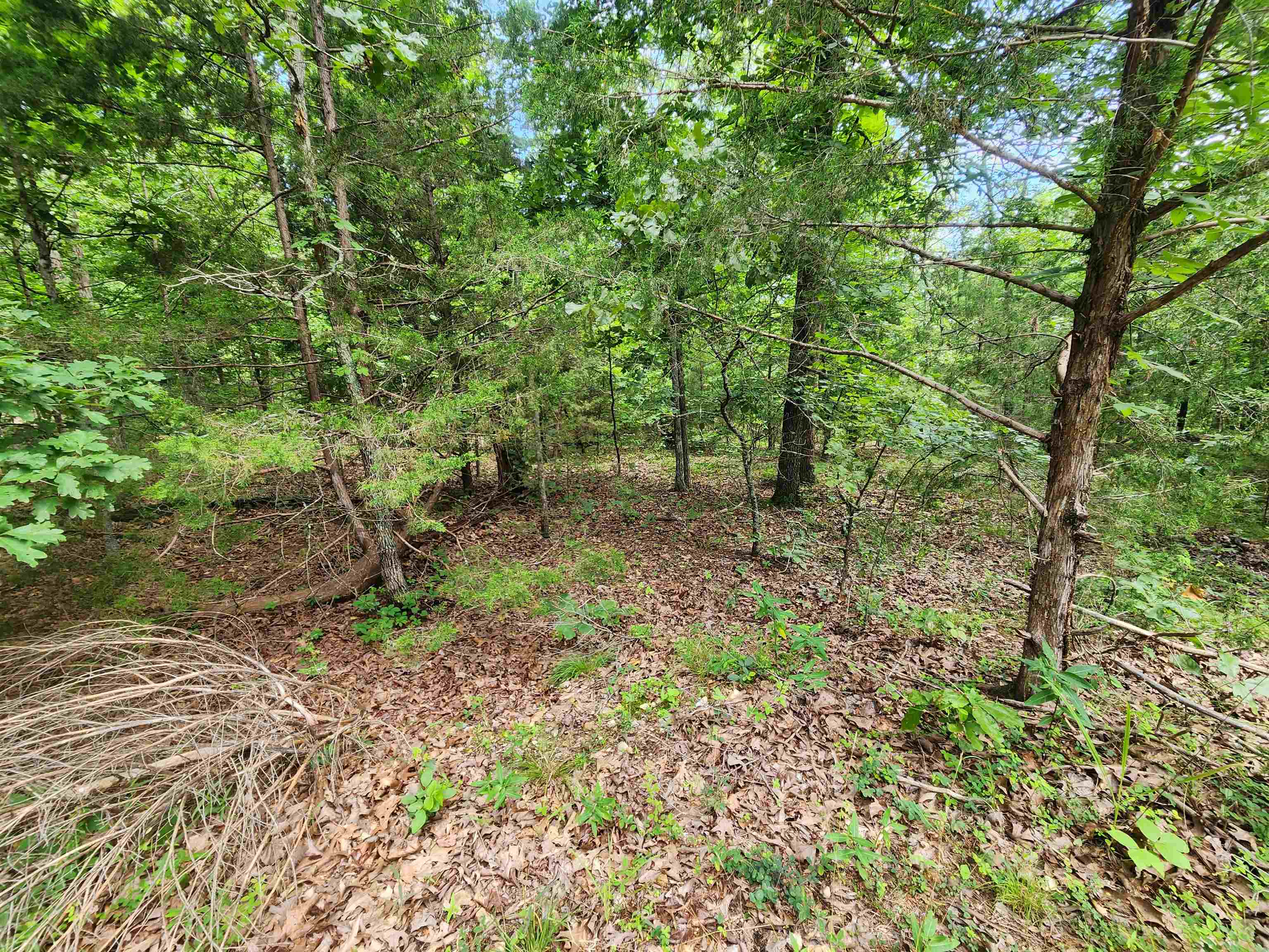 L21b1 Coyotero Trace Property Photo 20