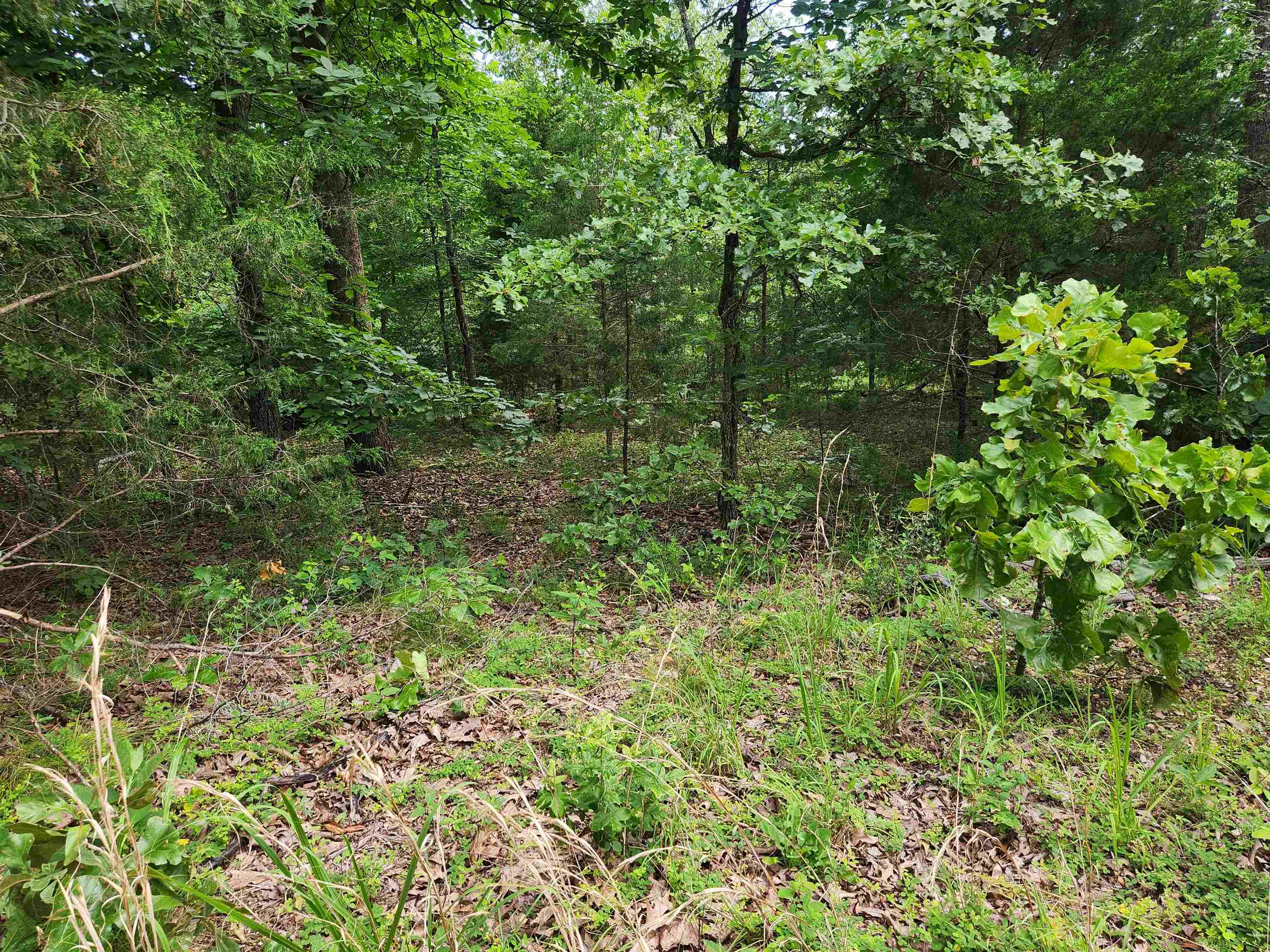 L21b1 Coyotero Trace Property Photo 21