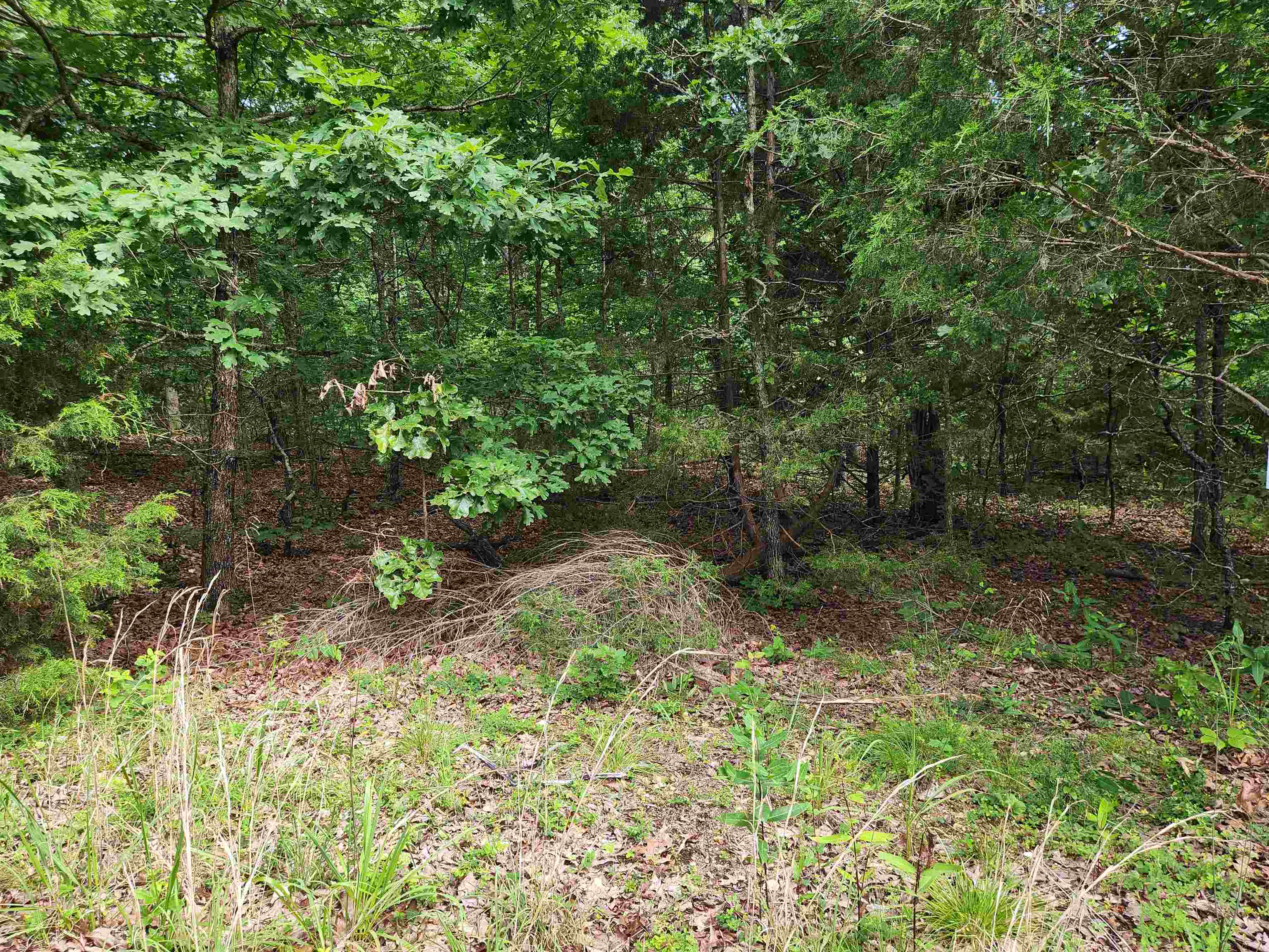 L21b1 Coyotero Trace Property Photo 23