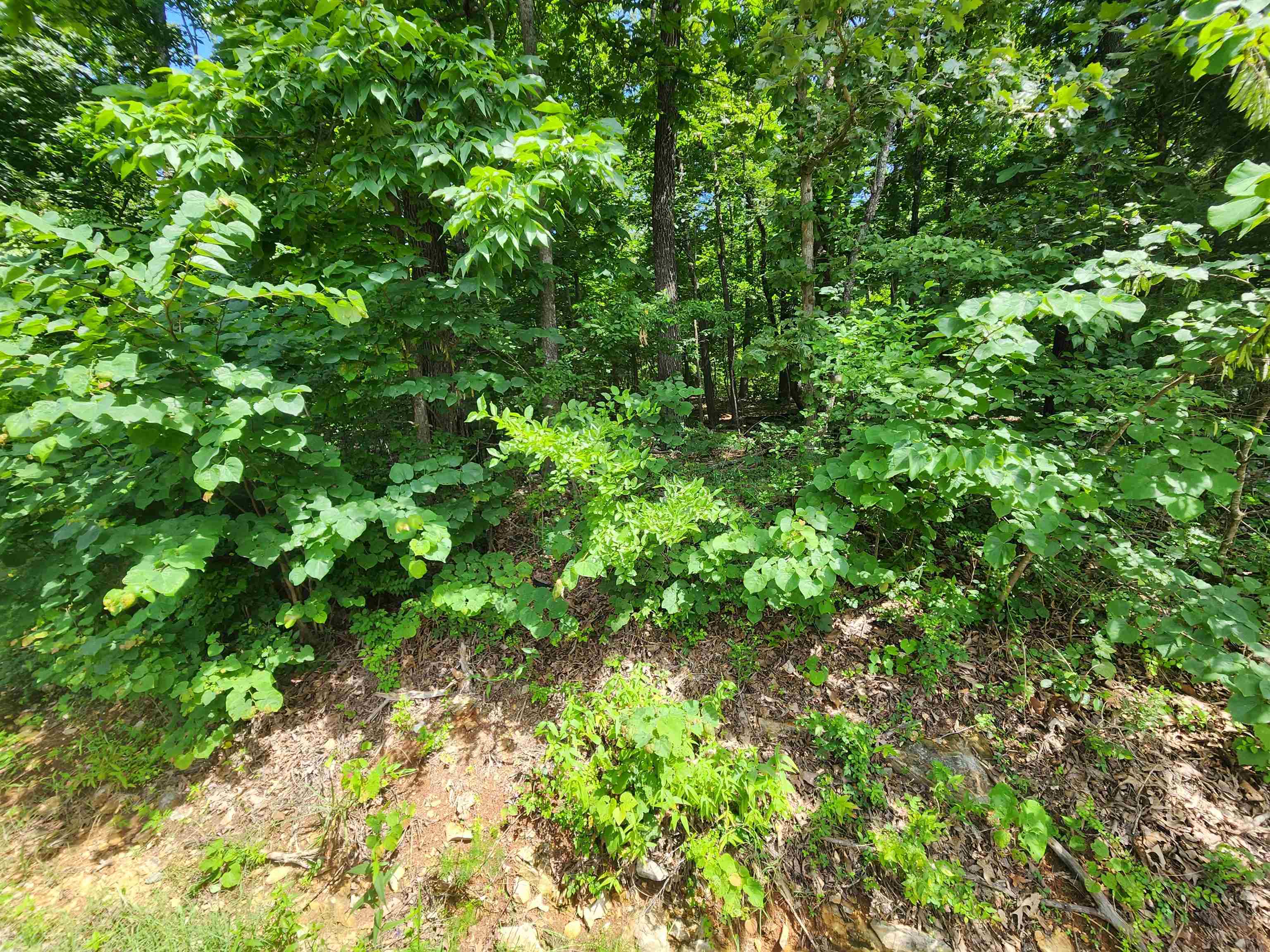 L37b12 N Lakeshore Circle Property Photo 1