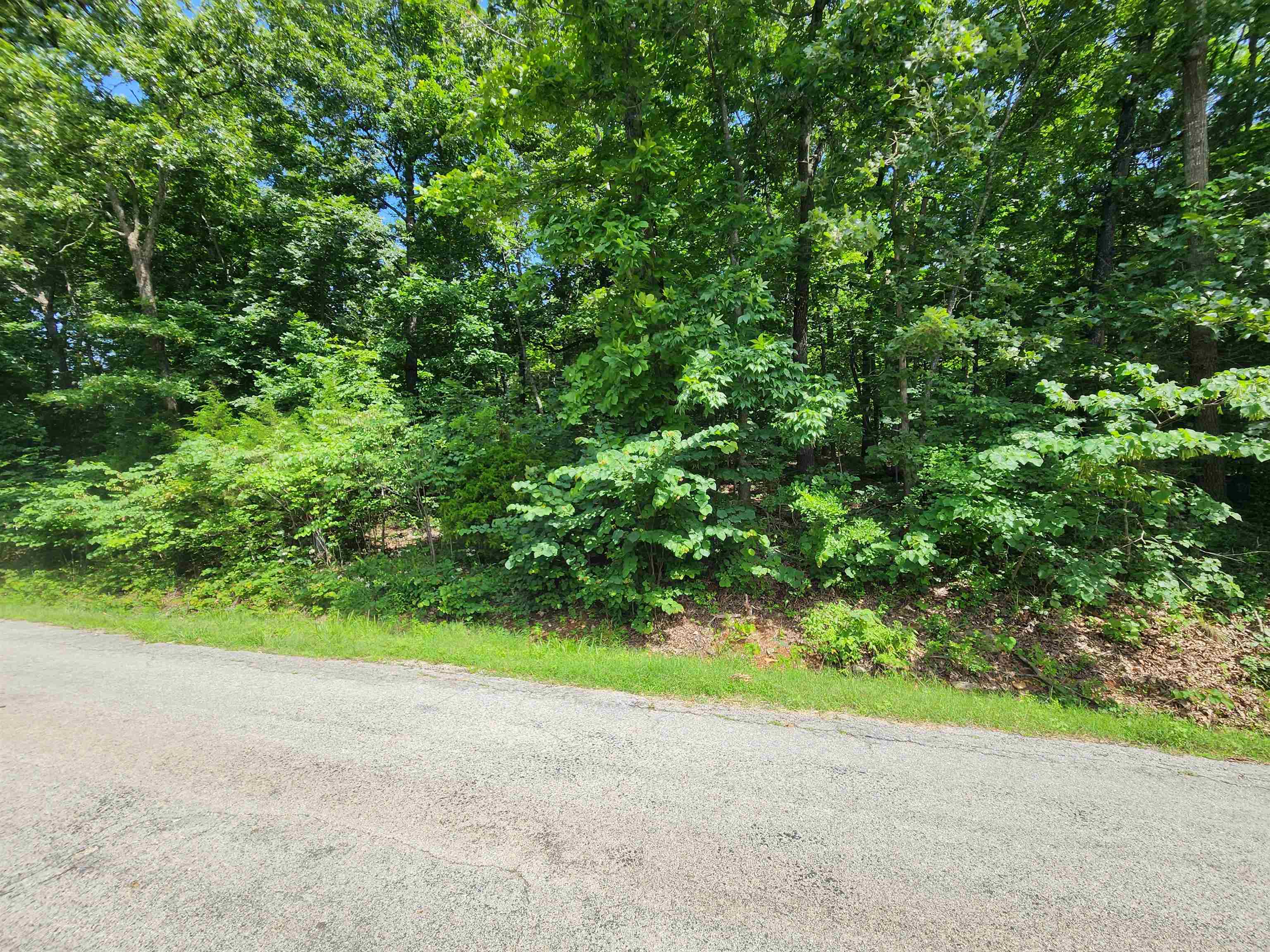 L37b12 N Lakeshore Circle Property Photo 2