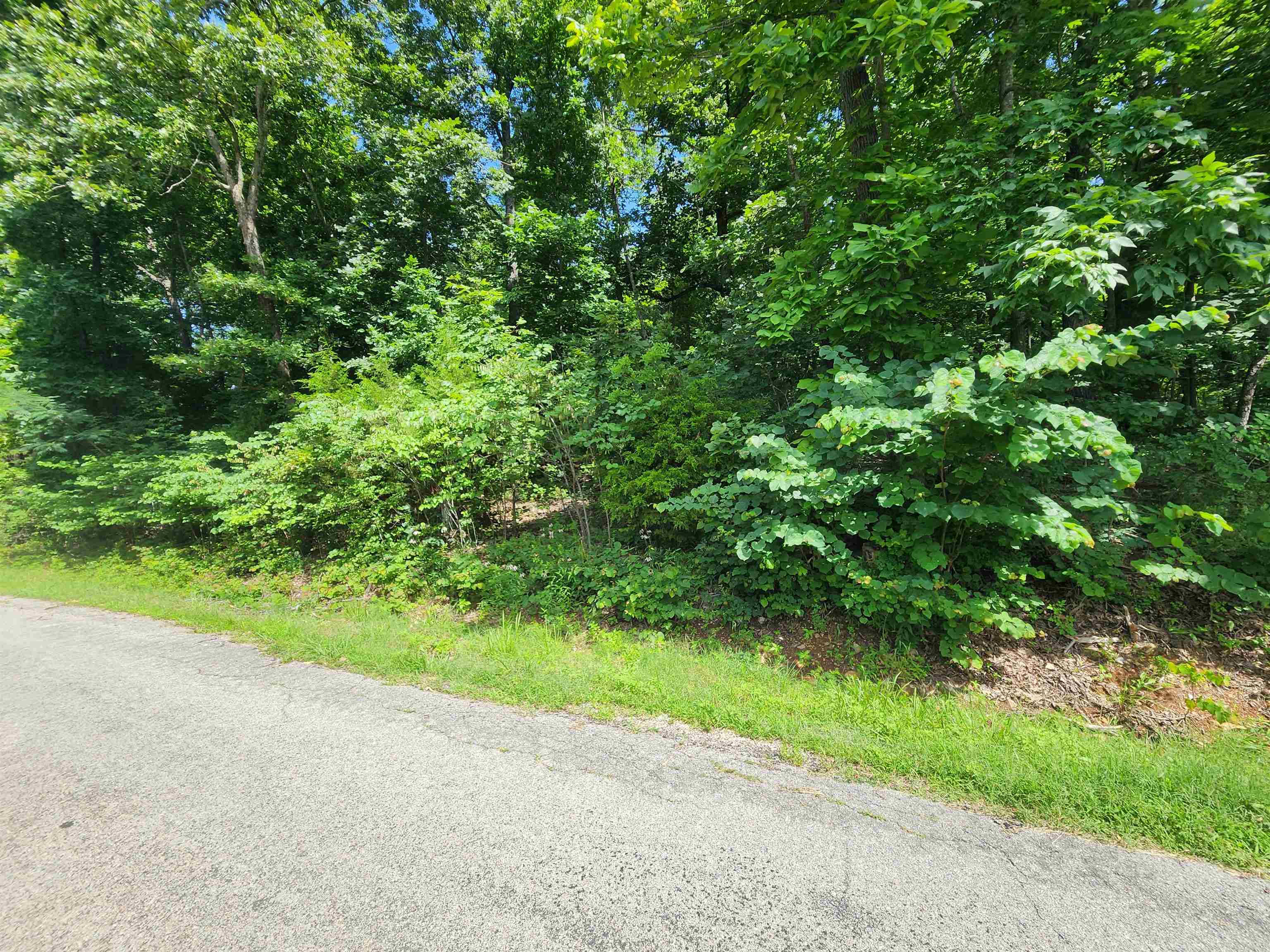 L37b12 N Lakeshore Circle Property Photo 3