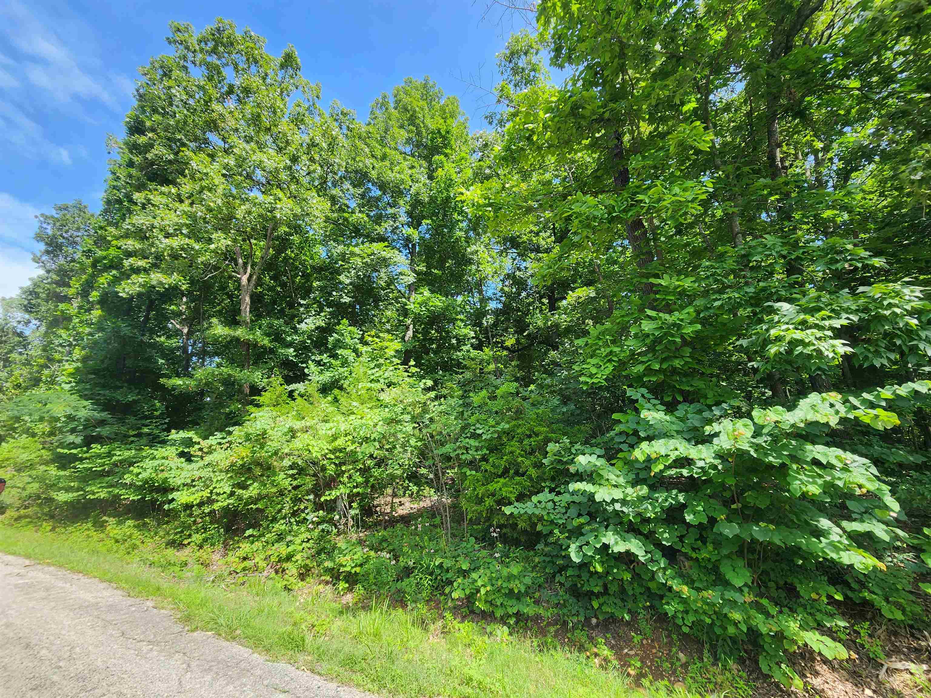 L37b12 N Lakeshore Circle Property Photo 4