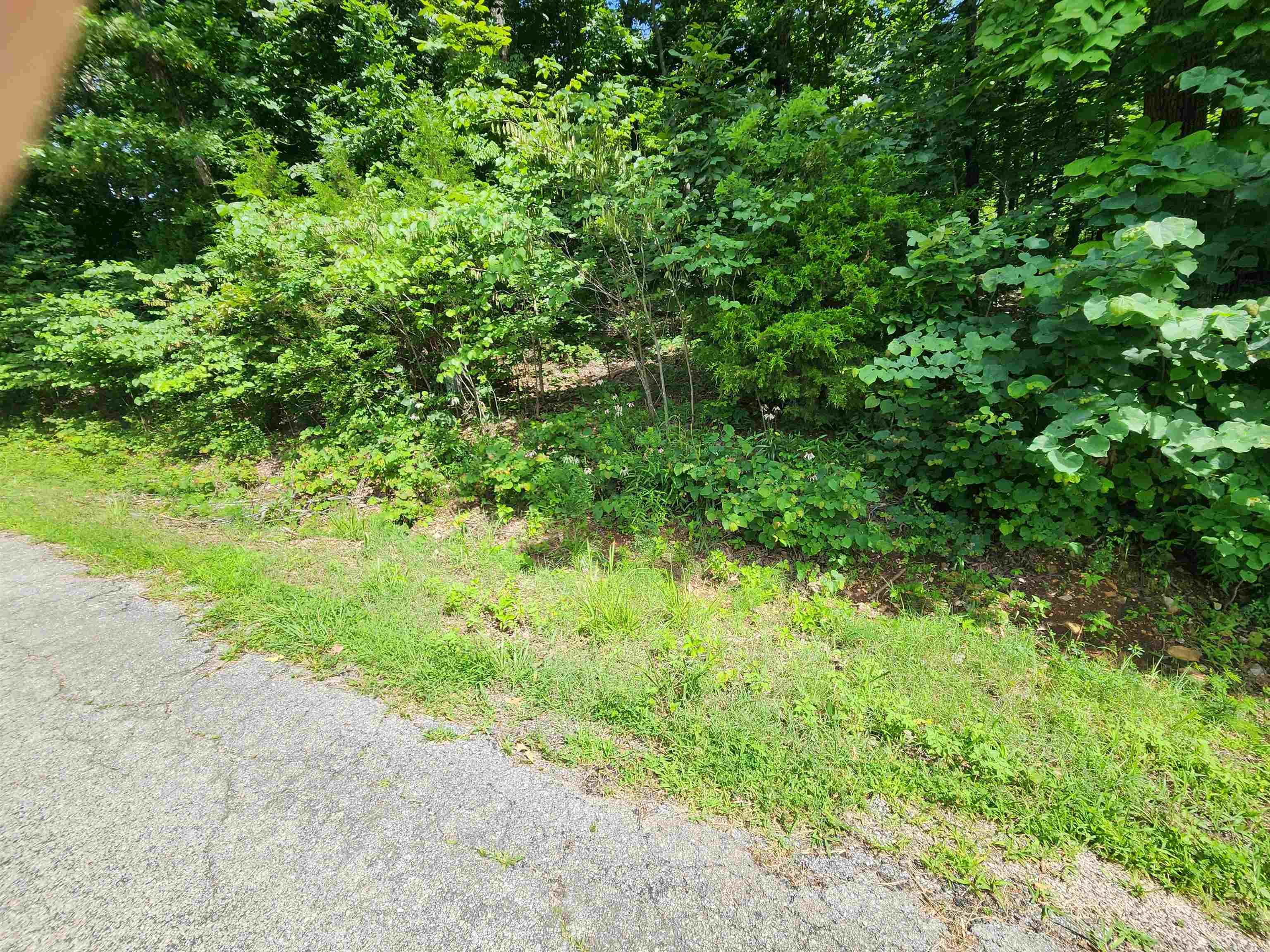 L37b12 N Lakeshore Circle Property Photo 6