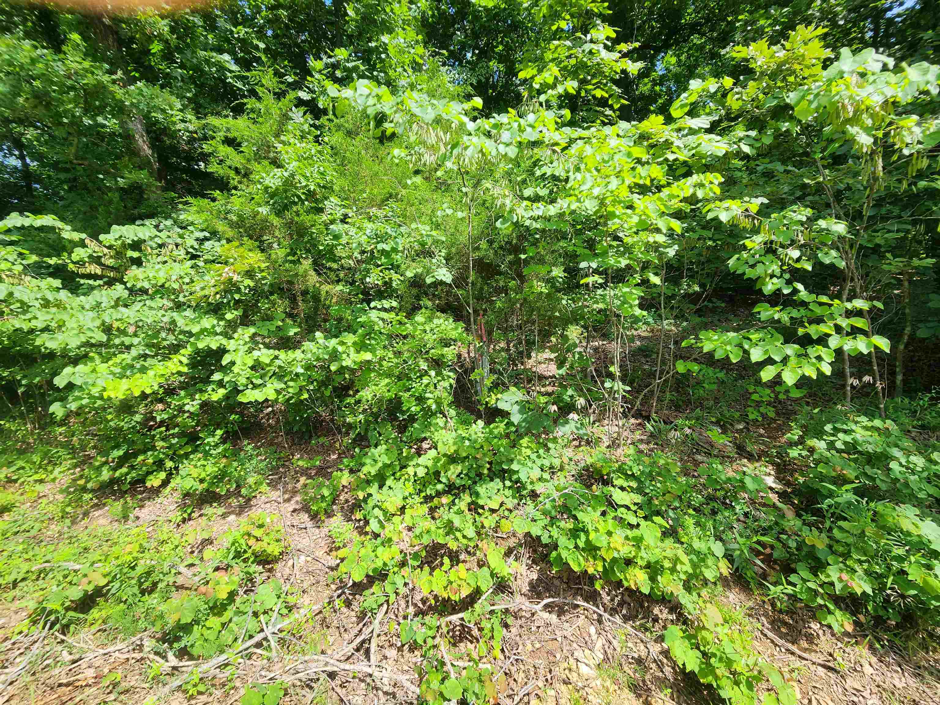 L37b12 N Lakeshore Circle Property Photo 7