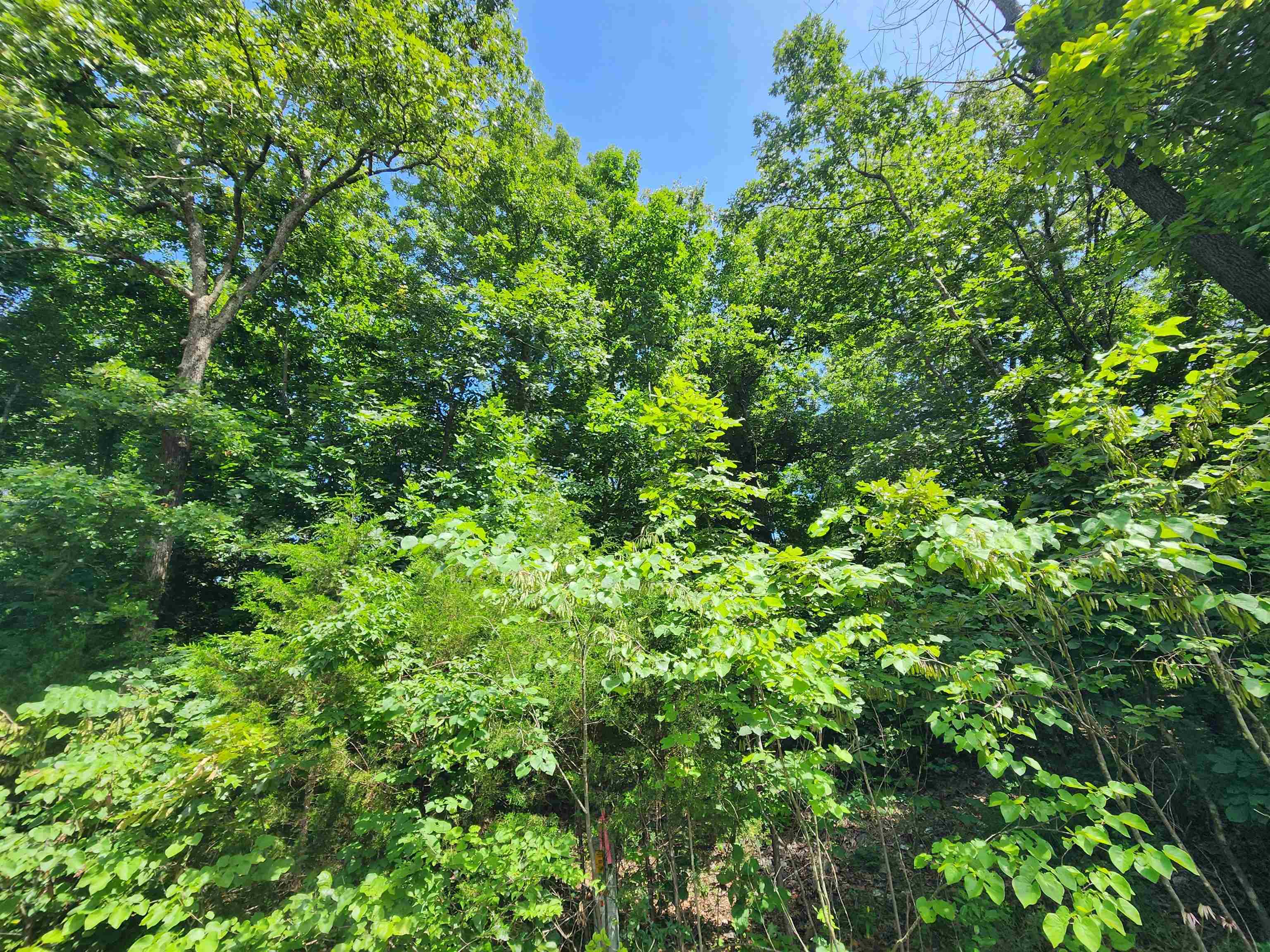 L37b12 N Lakeshore Circle Property Photo 9