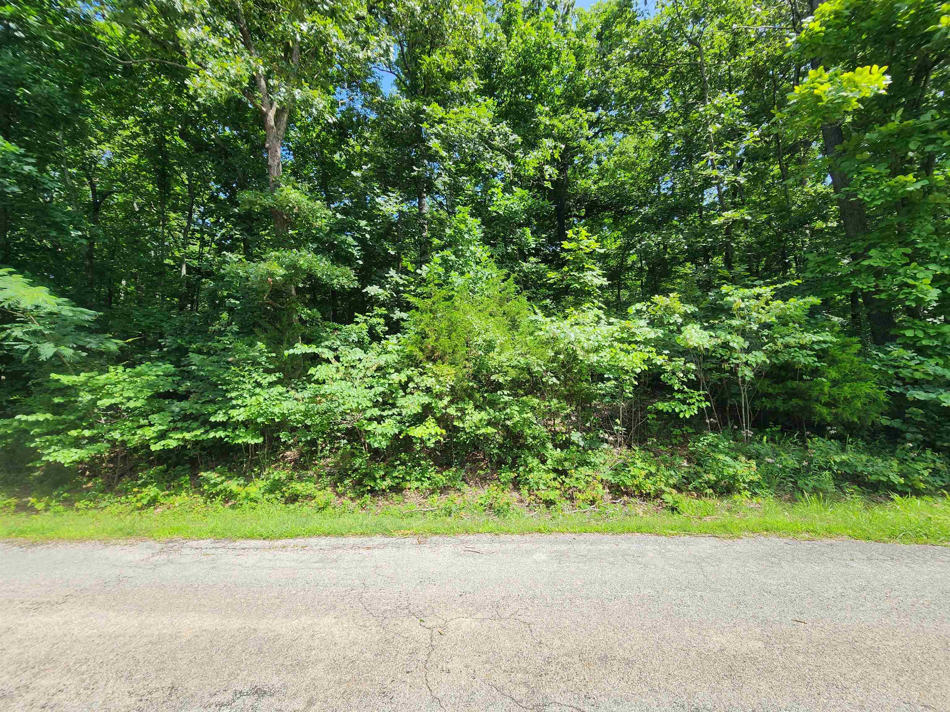 L37b12 N Lakeshore Circle Property Photo 10