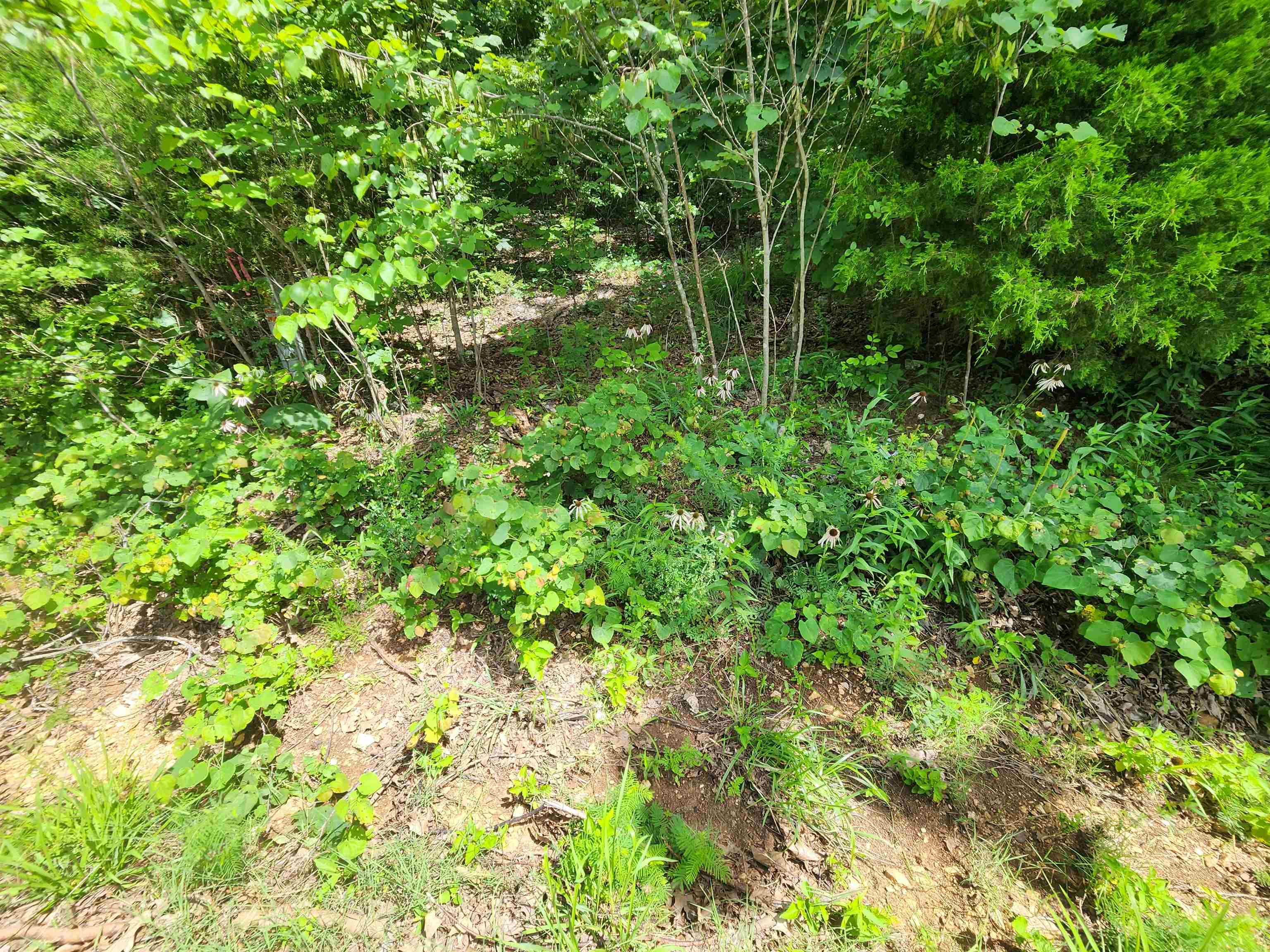 L37b12 N Lakeshore Circle Property Photo 13
