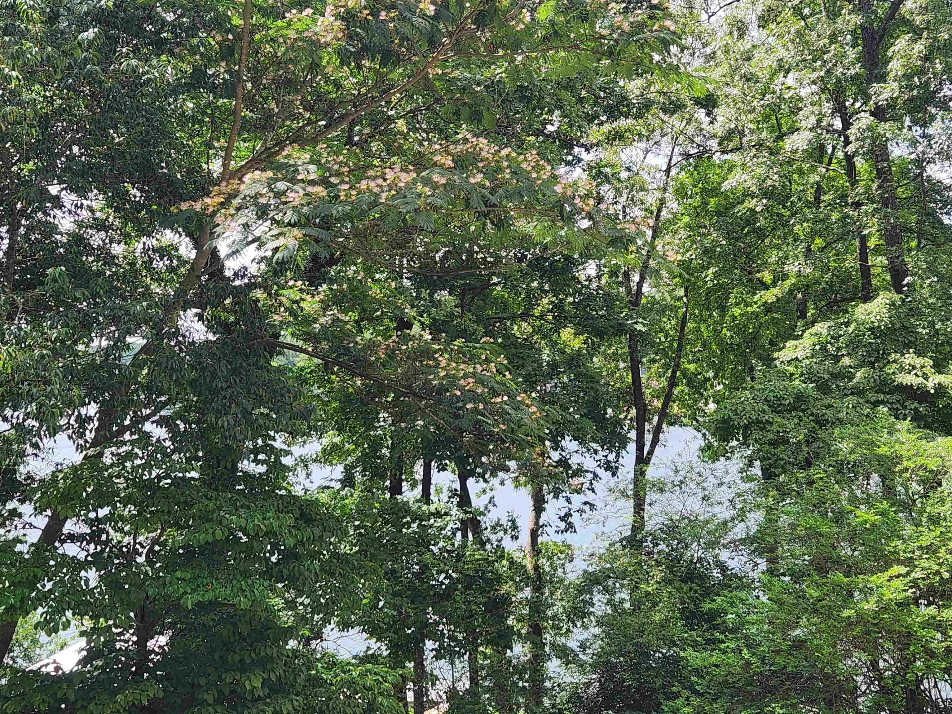 L37b12 N Lakeshore Circle Property Photo 24