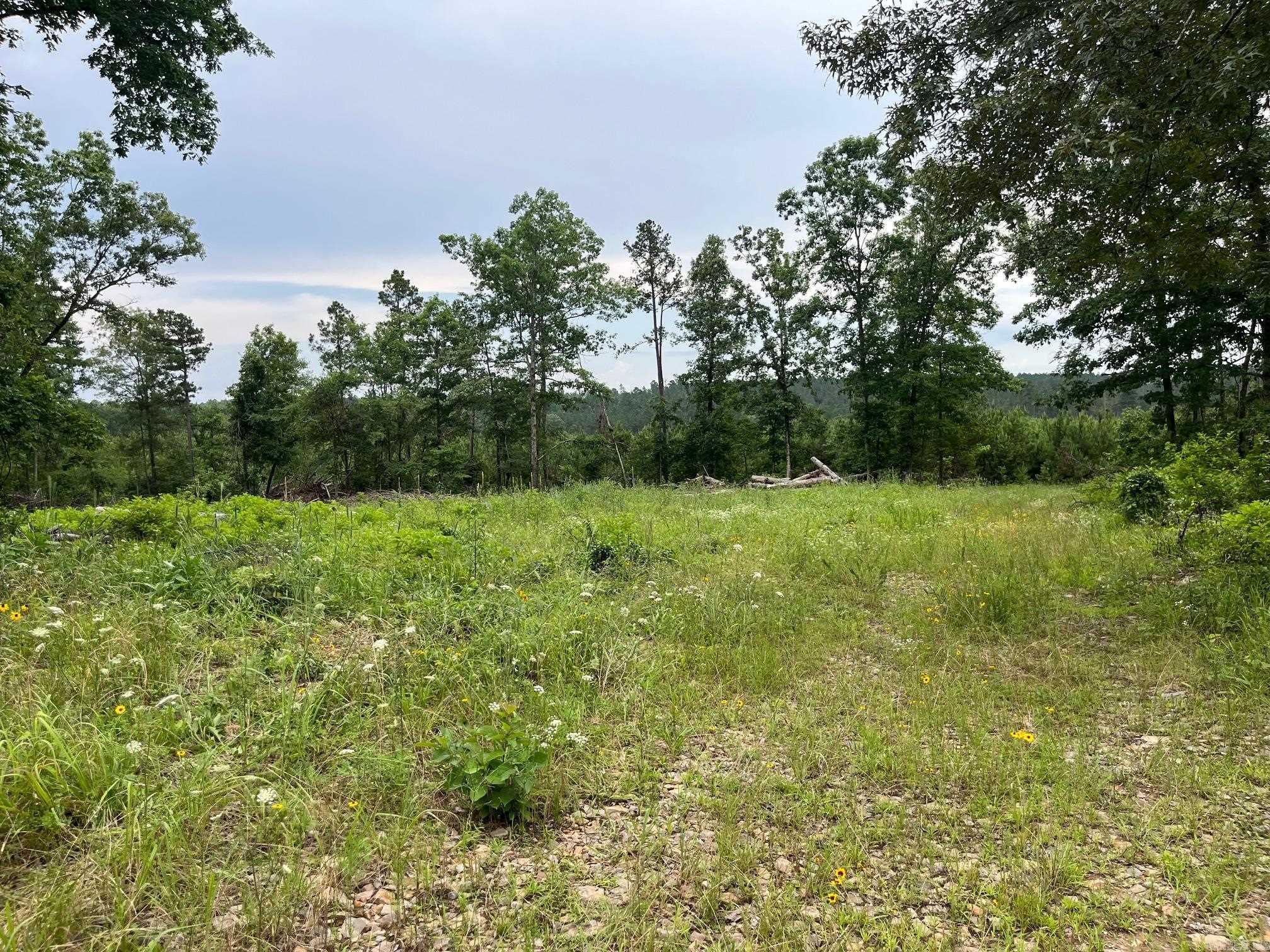 Tbd Hwy 84 Property Photo 3