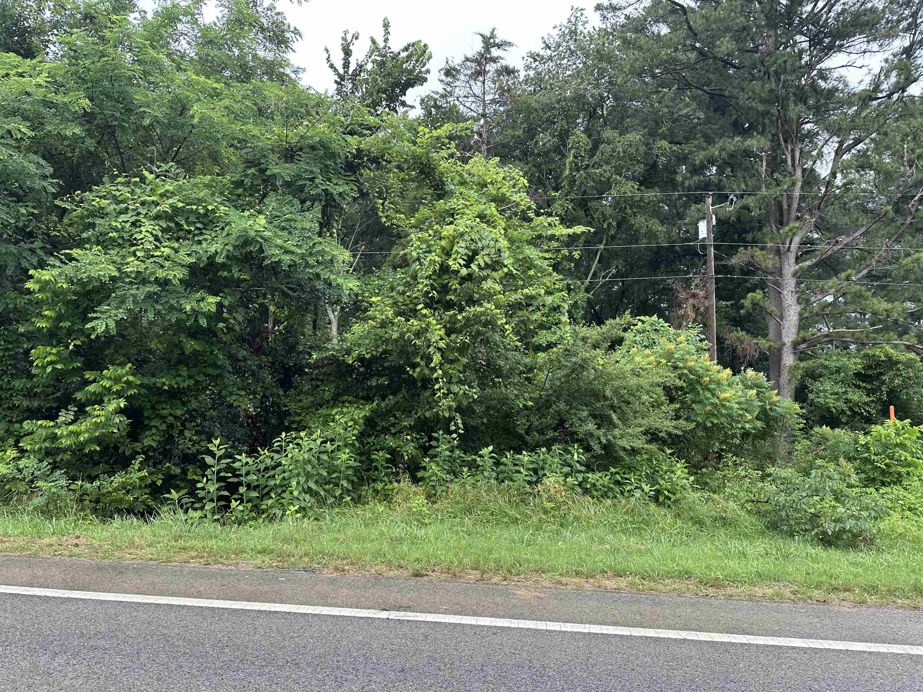 1 Acre Property Photo 3