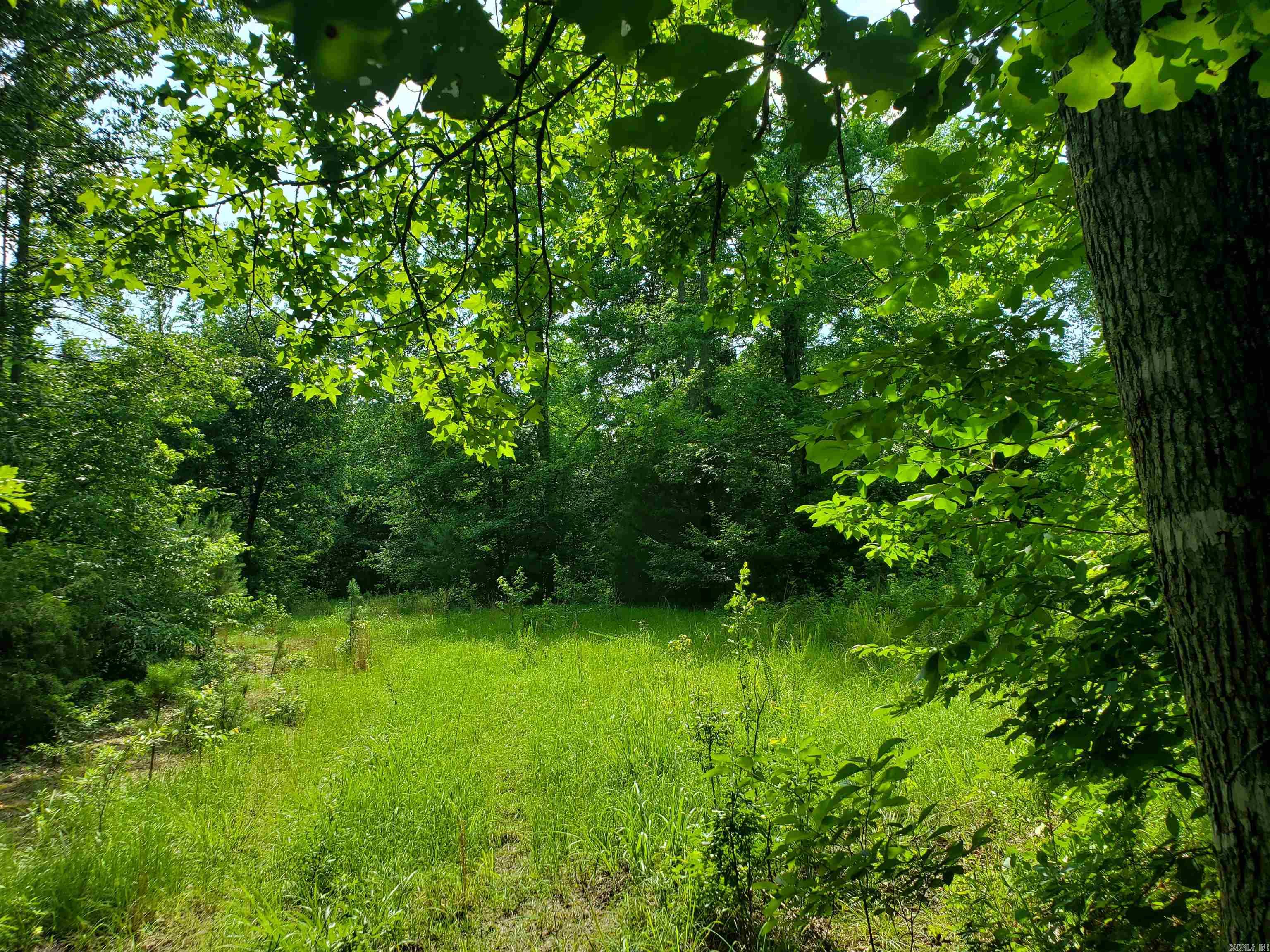 Tbd Polk 69 Property Photo 6